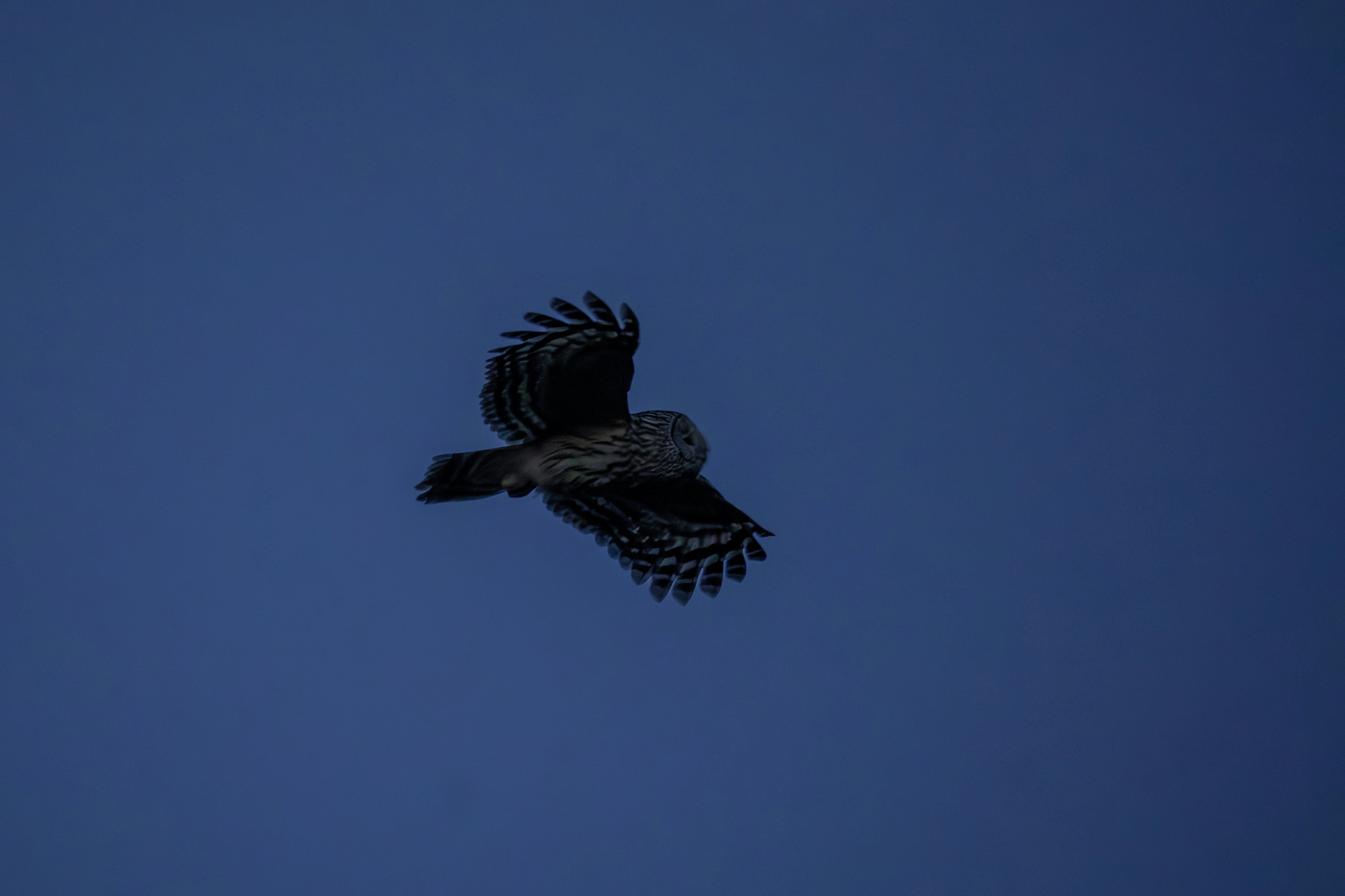 Photo by erik_karits