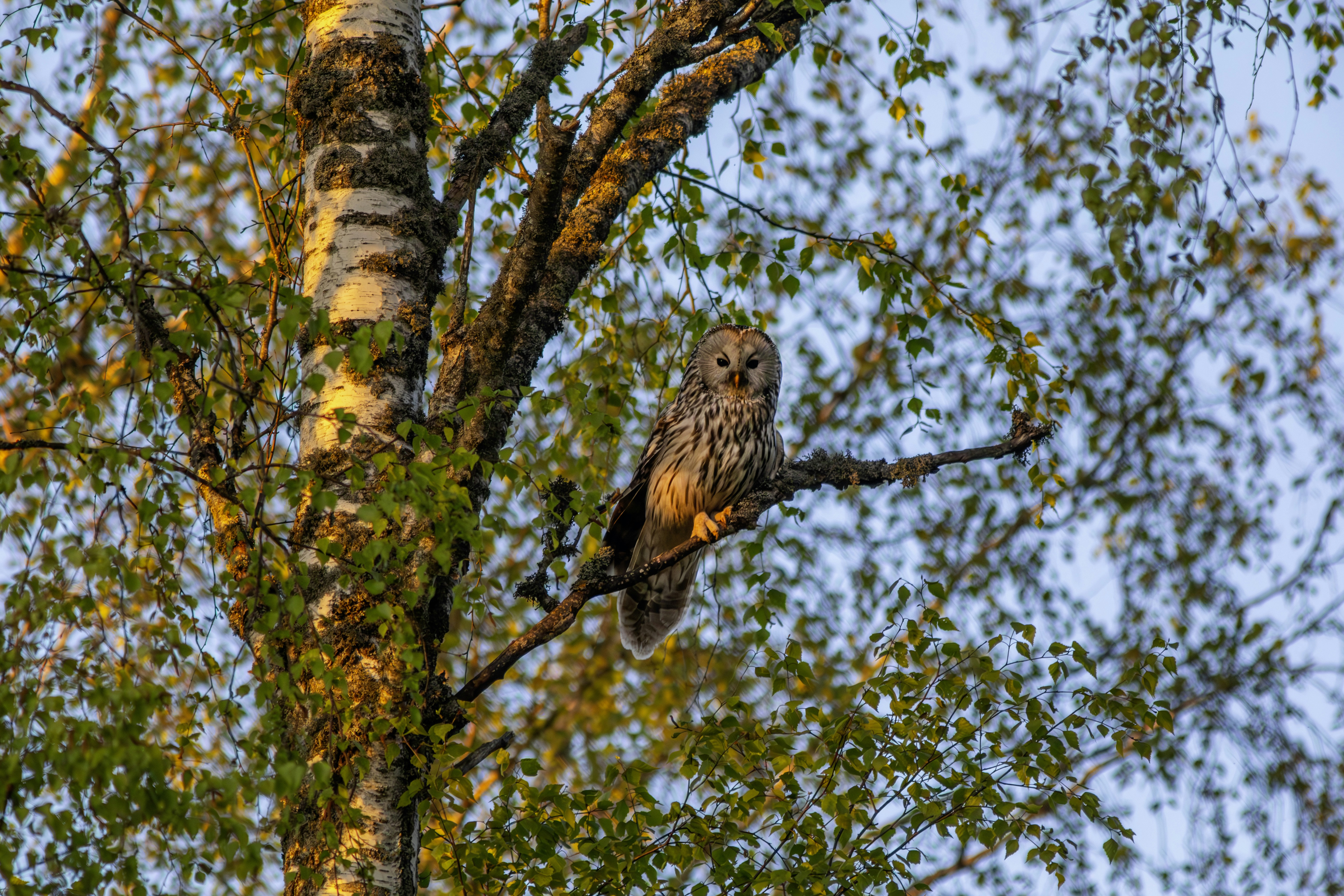 Photo by erik_karits