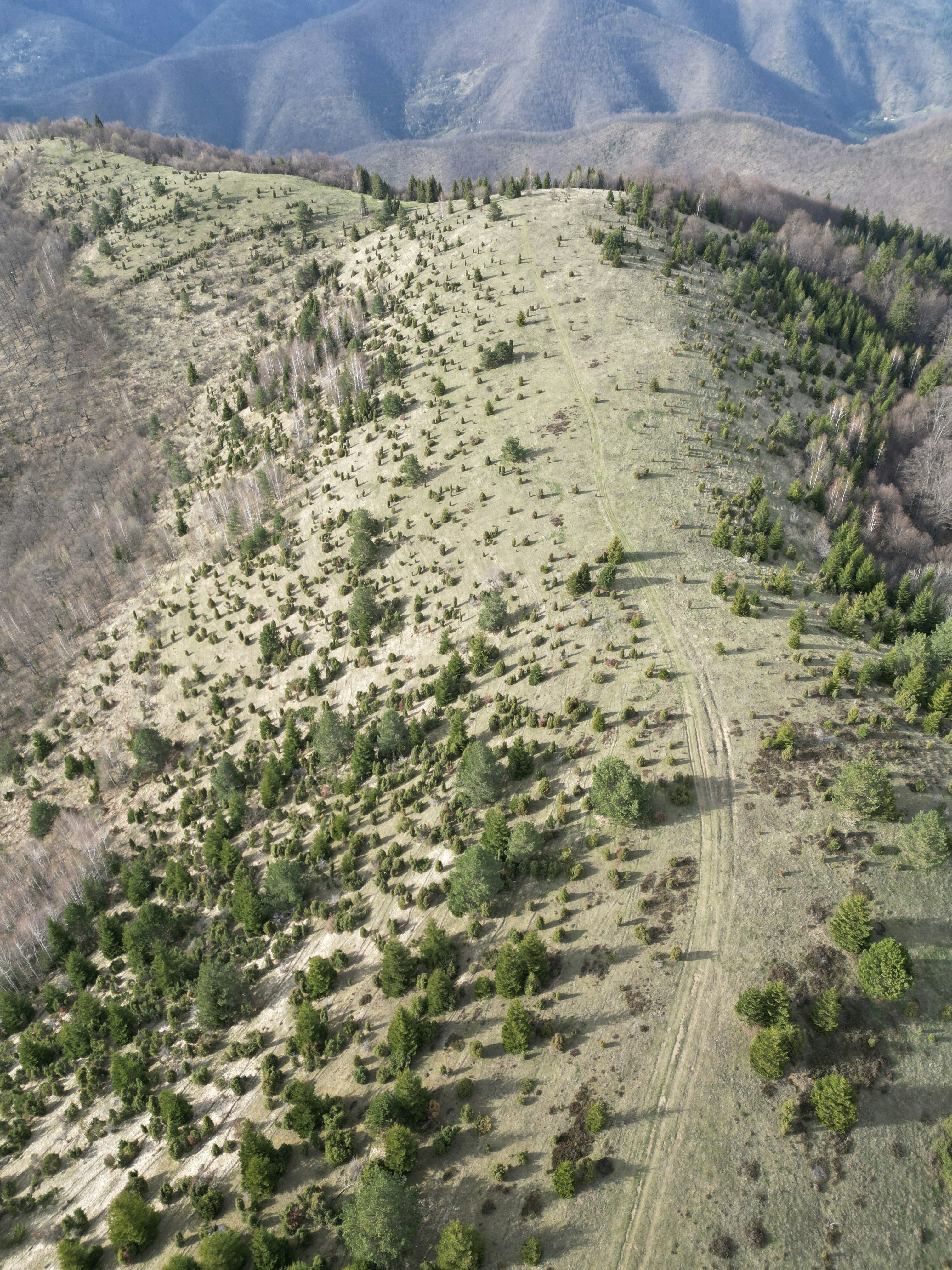 Photo by sporisevicphotography