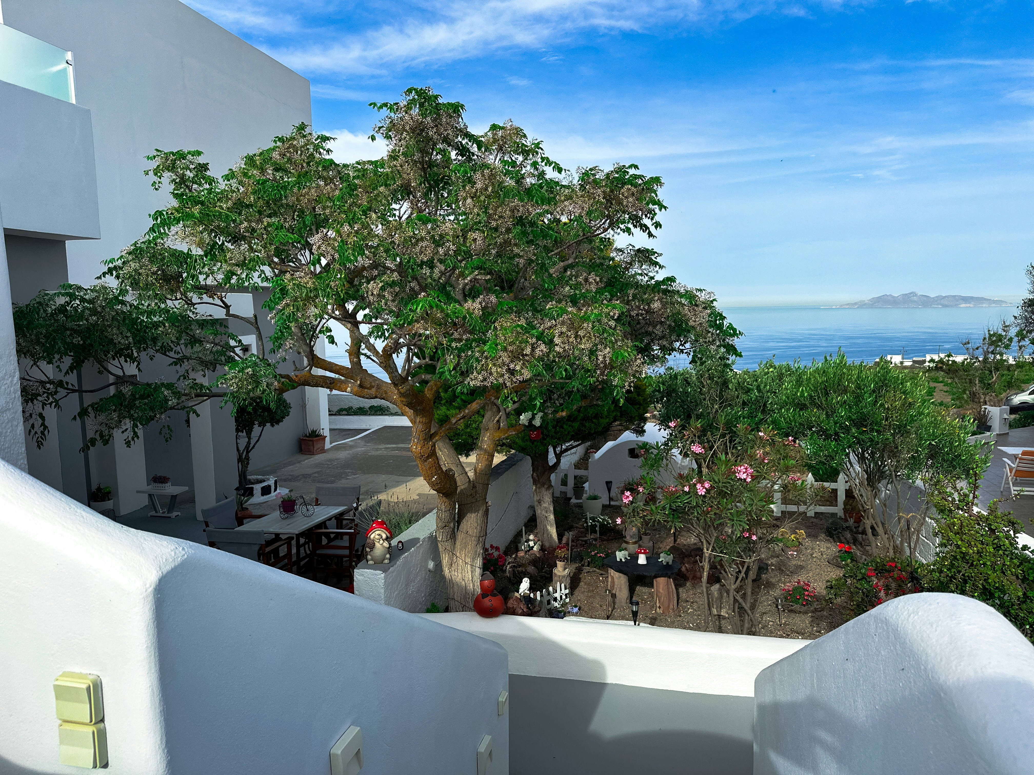 Photo by mihaela_claudia_p