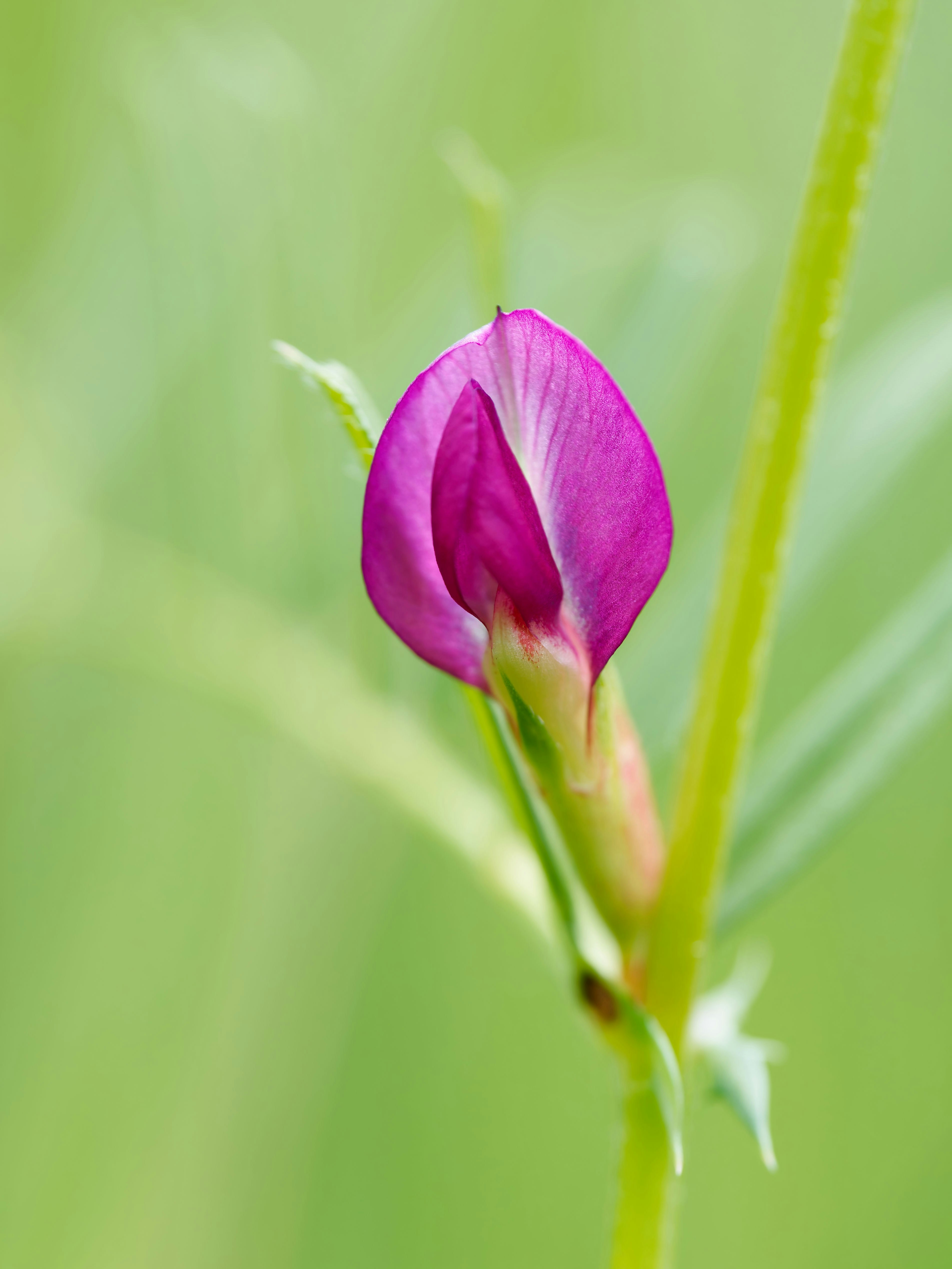 Photo by illes_cristi