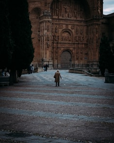 A person walks towards an ornate, old building.