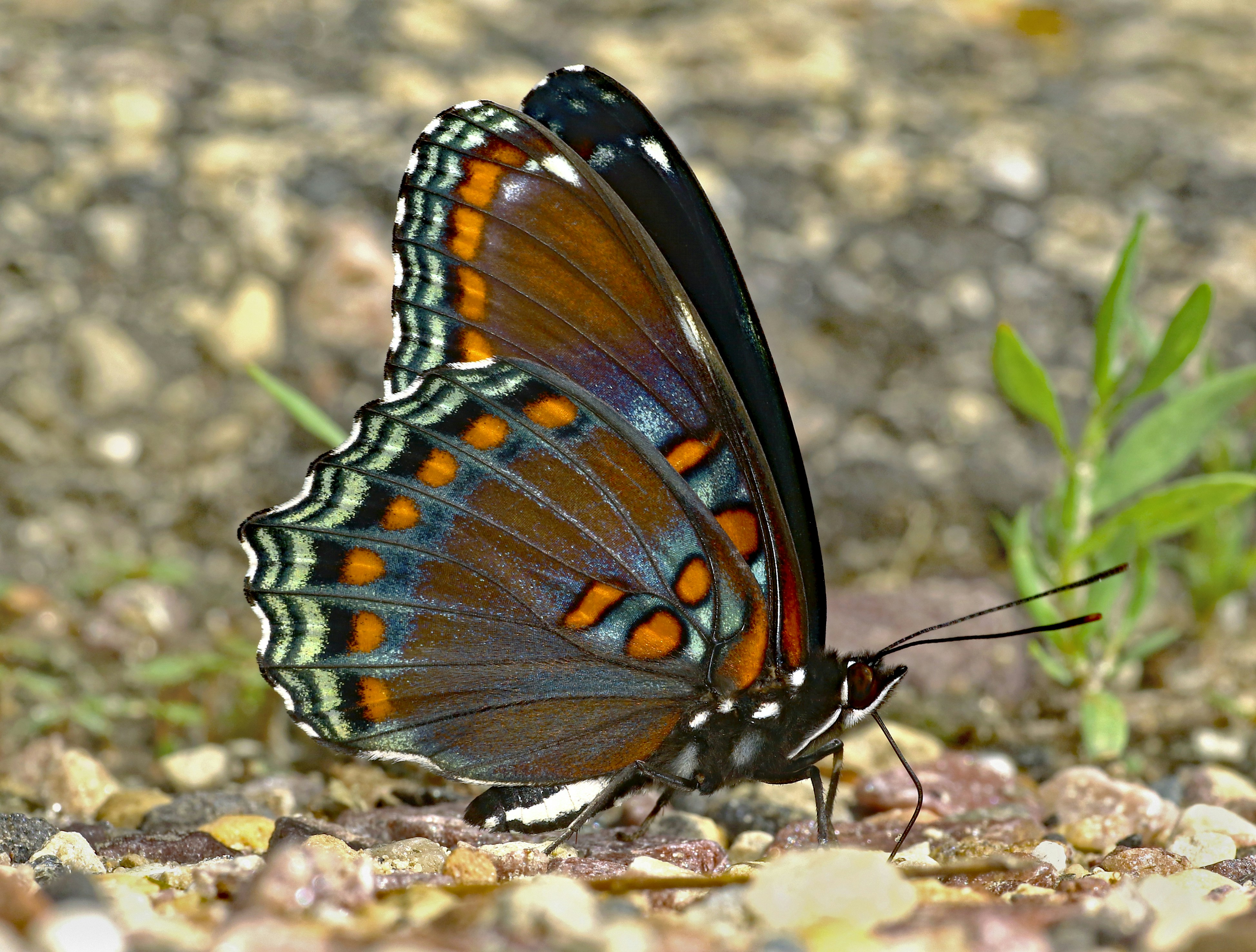 Photo by telliottmbamsc