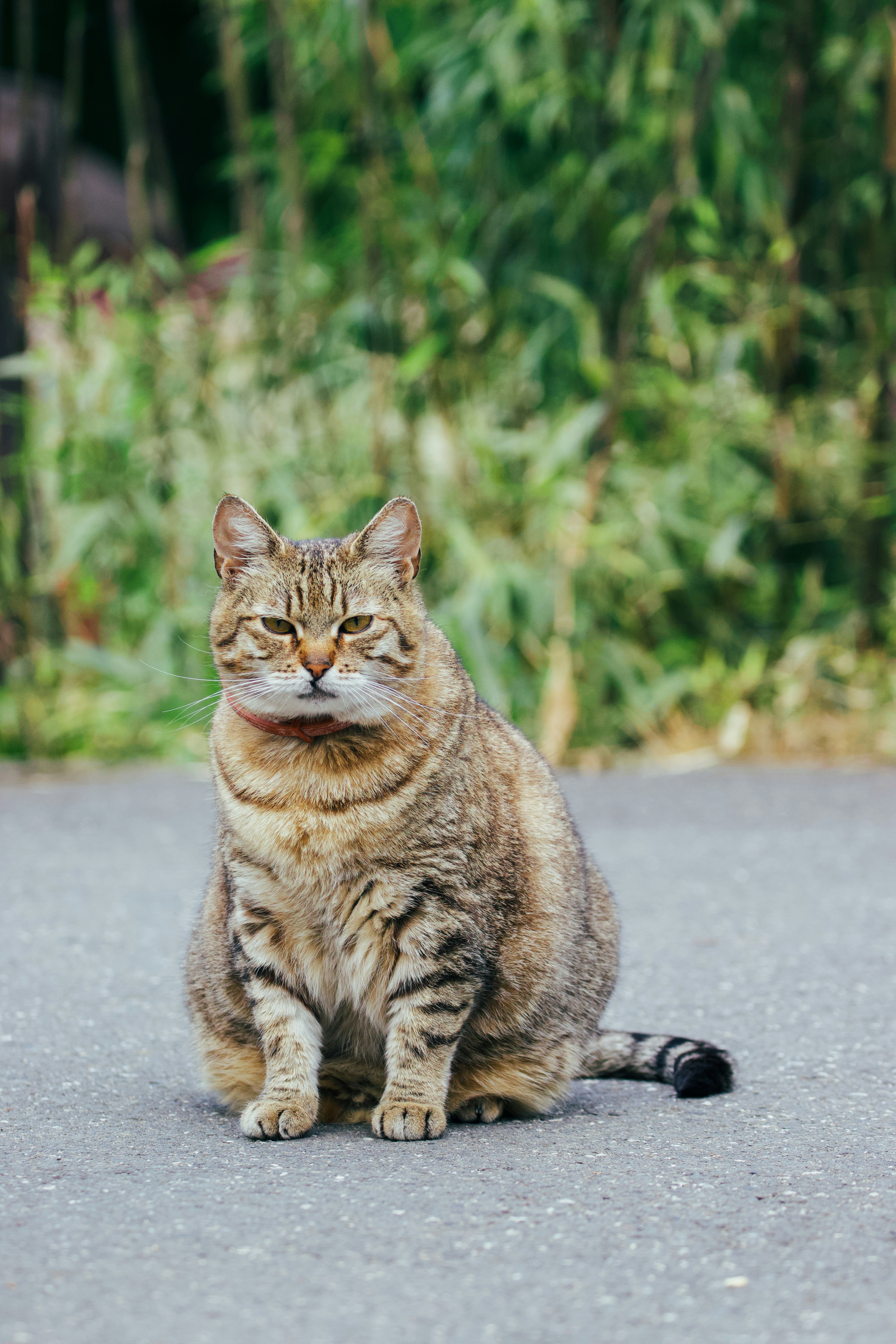 Photo by jakub_neskora