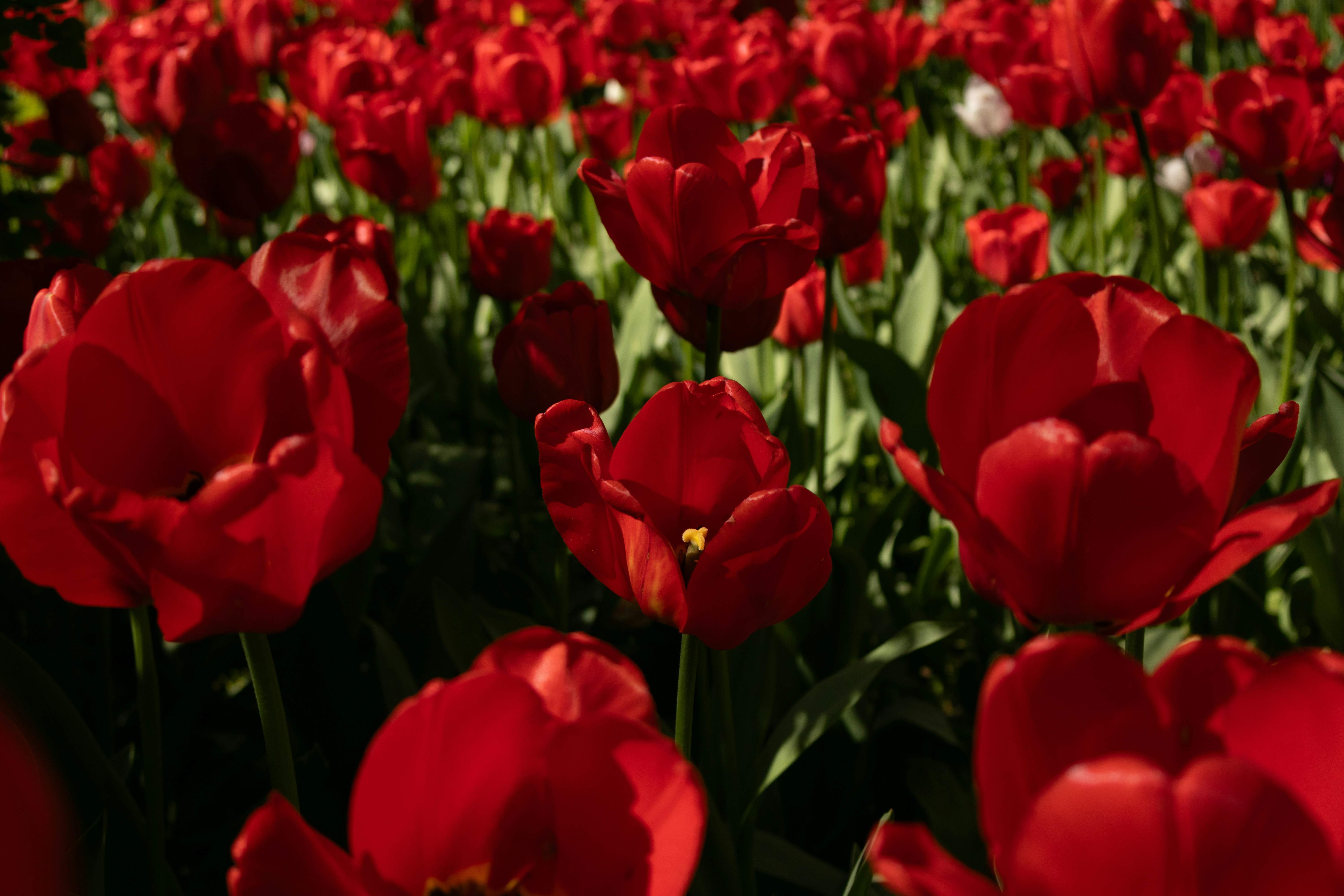 Photo by anna_photo_yozh