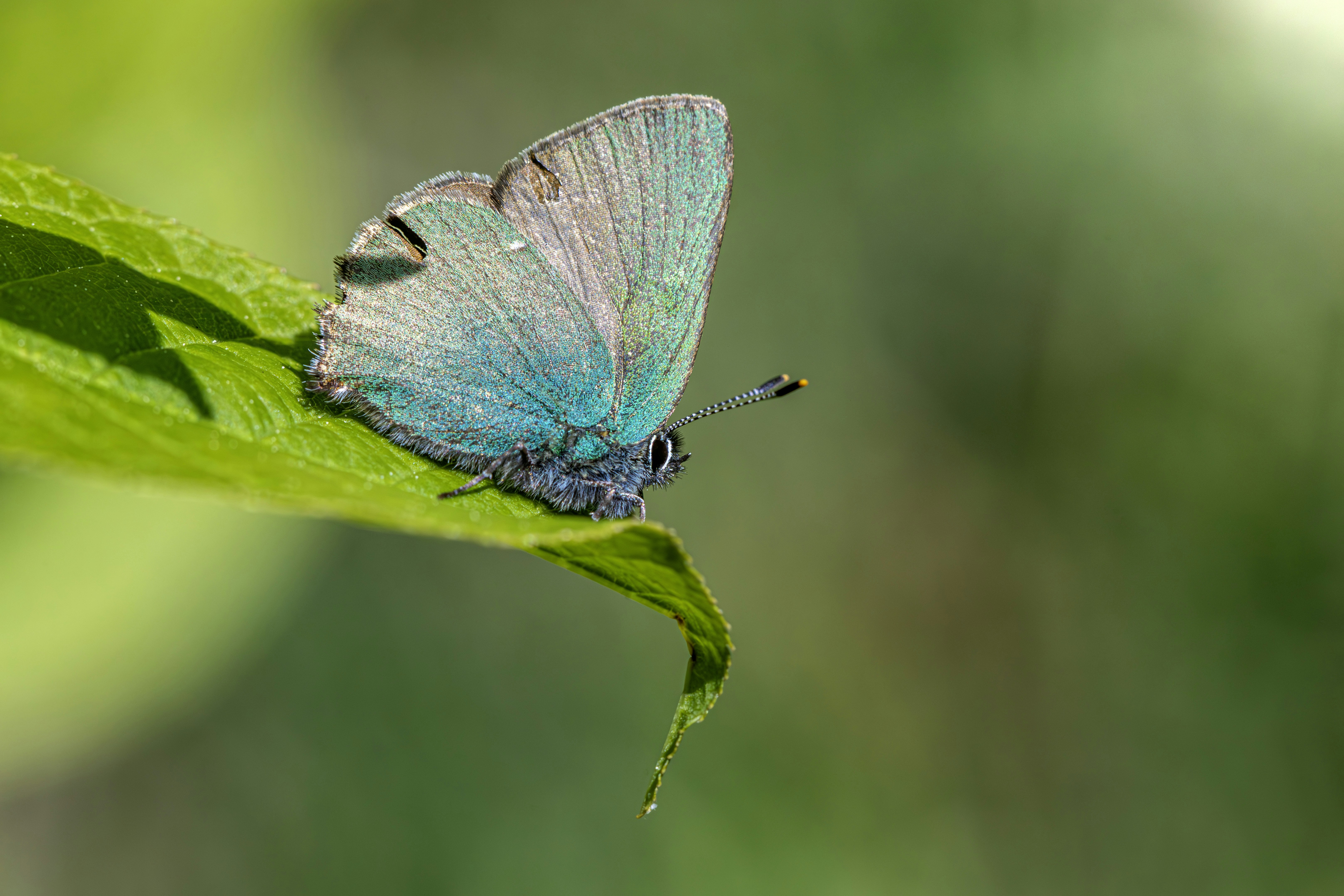 Photo by erik_karits