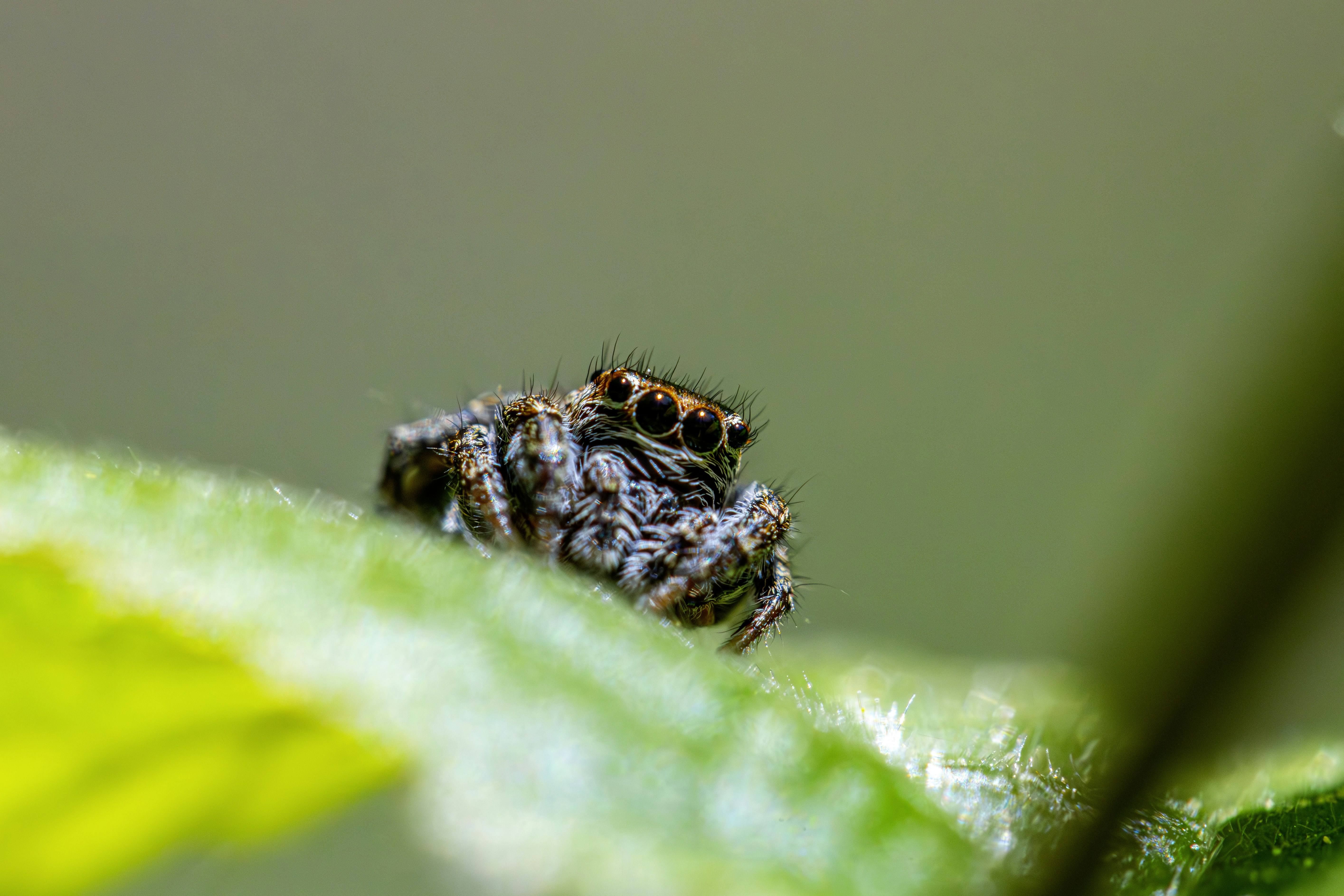 Photo by erik_karits