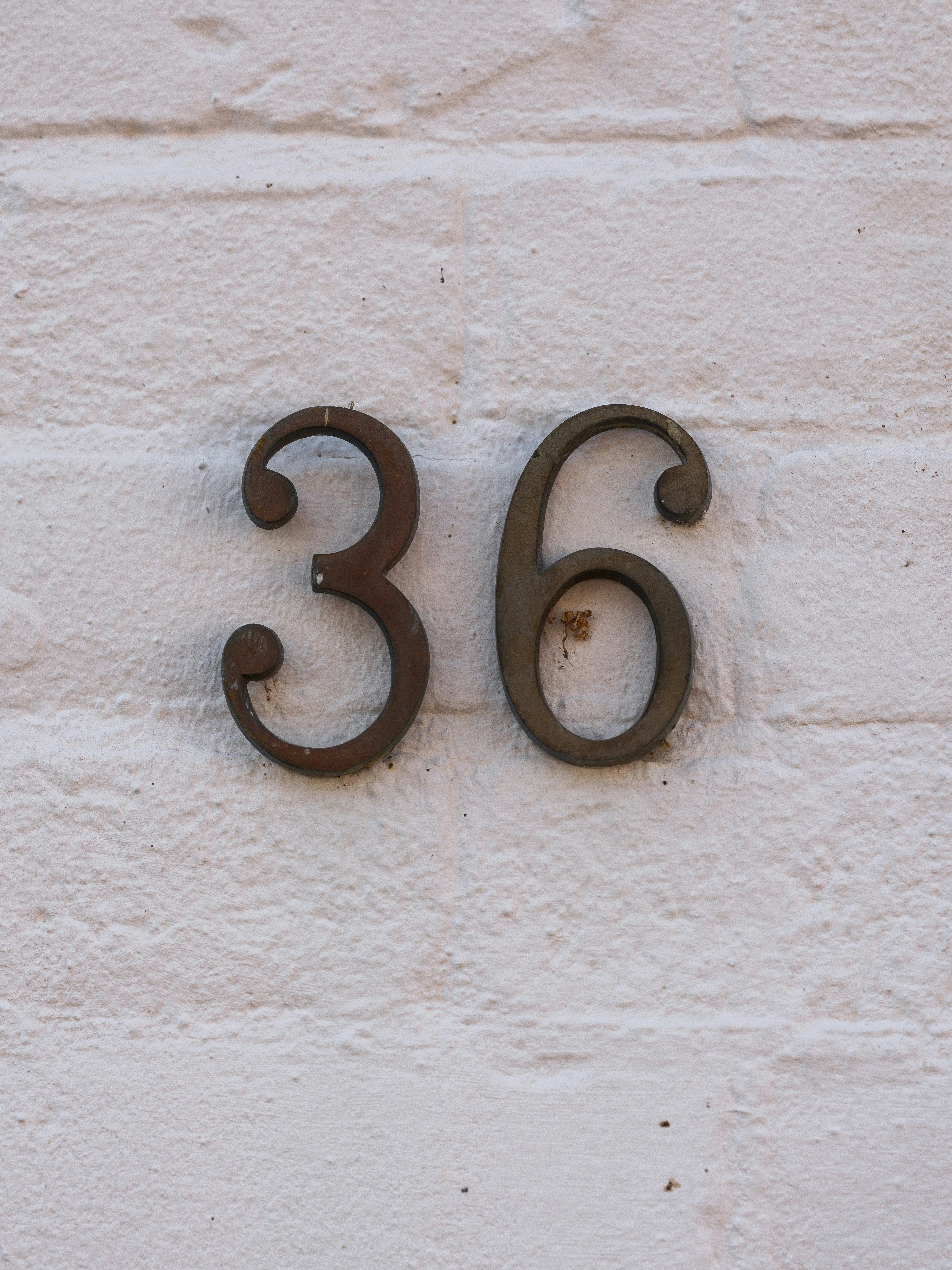 House number "36" attached to a white brick wall.