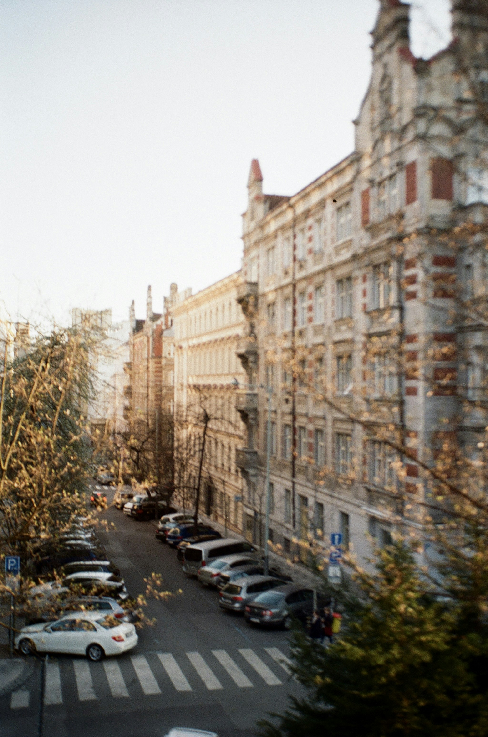 Photo by lauraemma_d