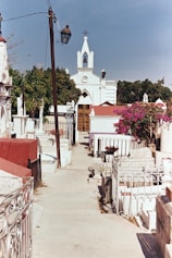 A cemetery path leads to a white church.