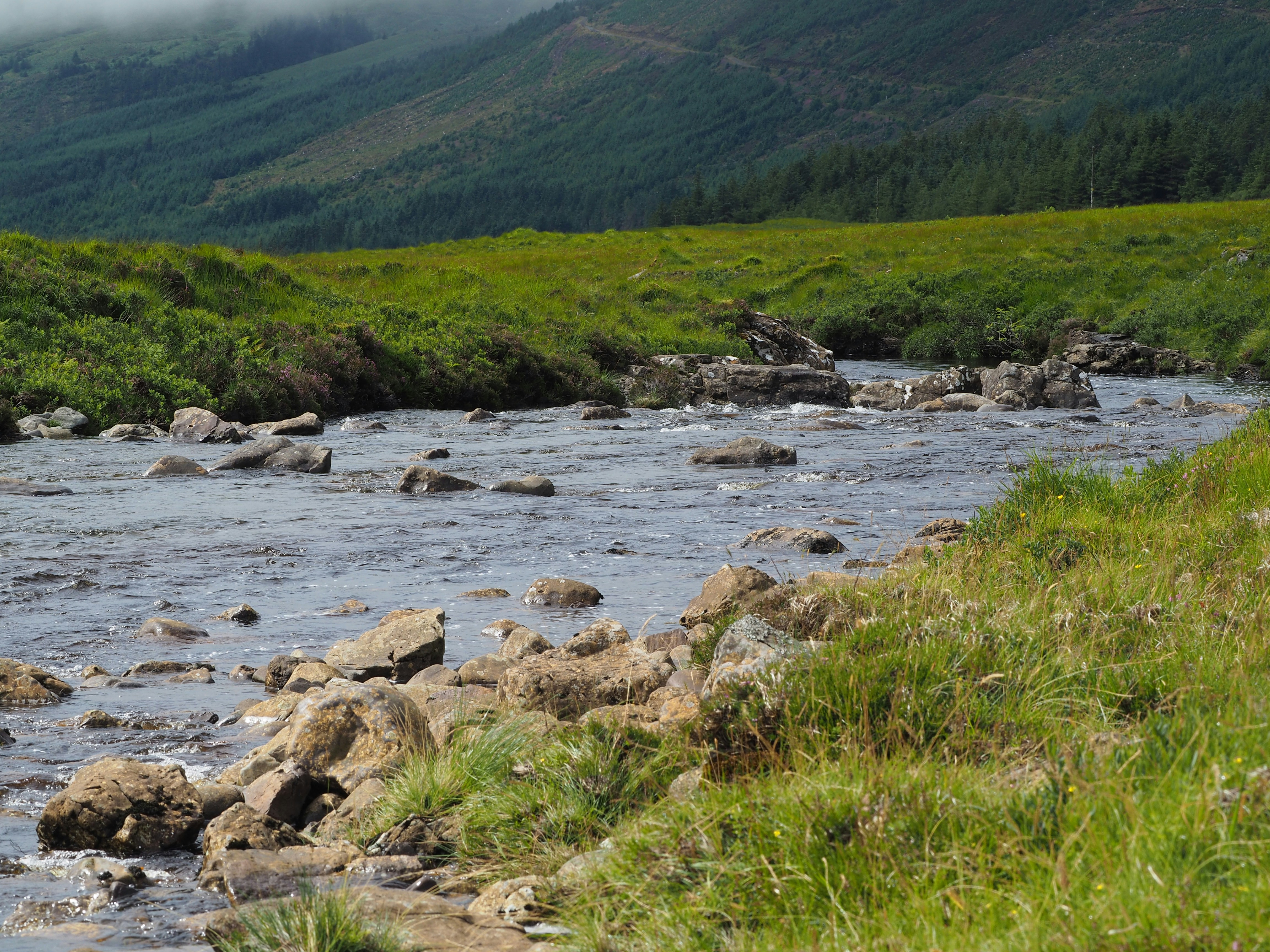 Photo by fotografie_thomas_nolte