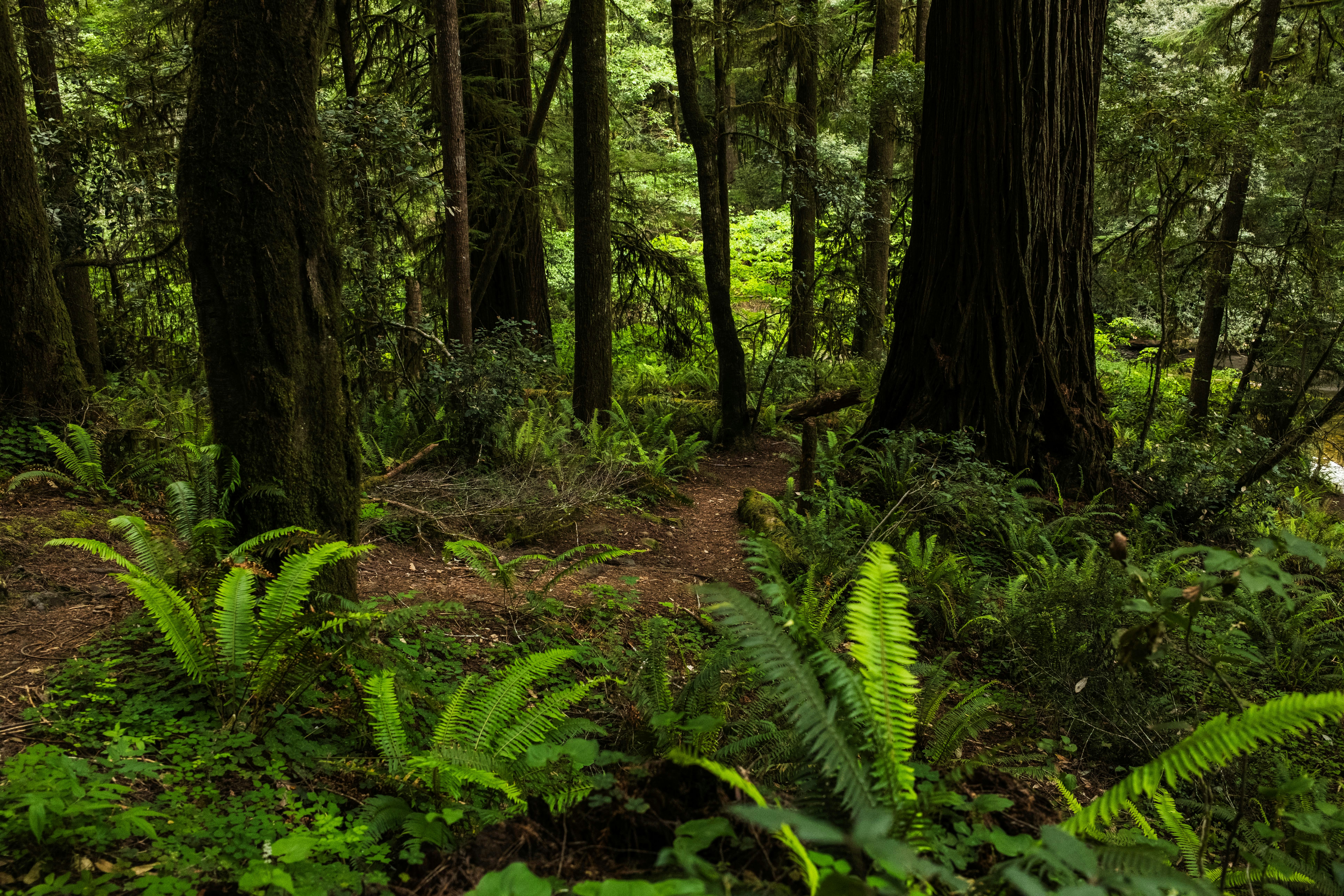 Photo by taylorzannis