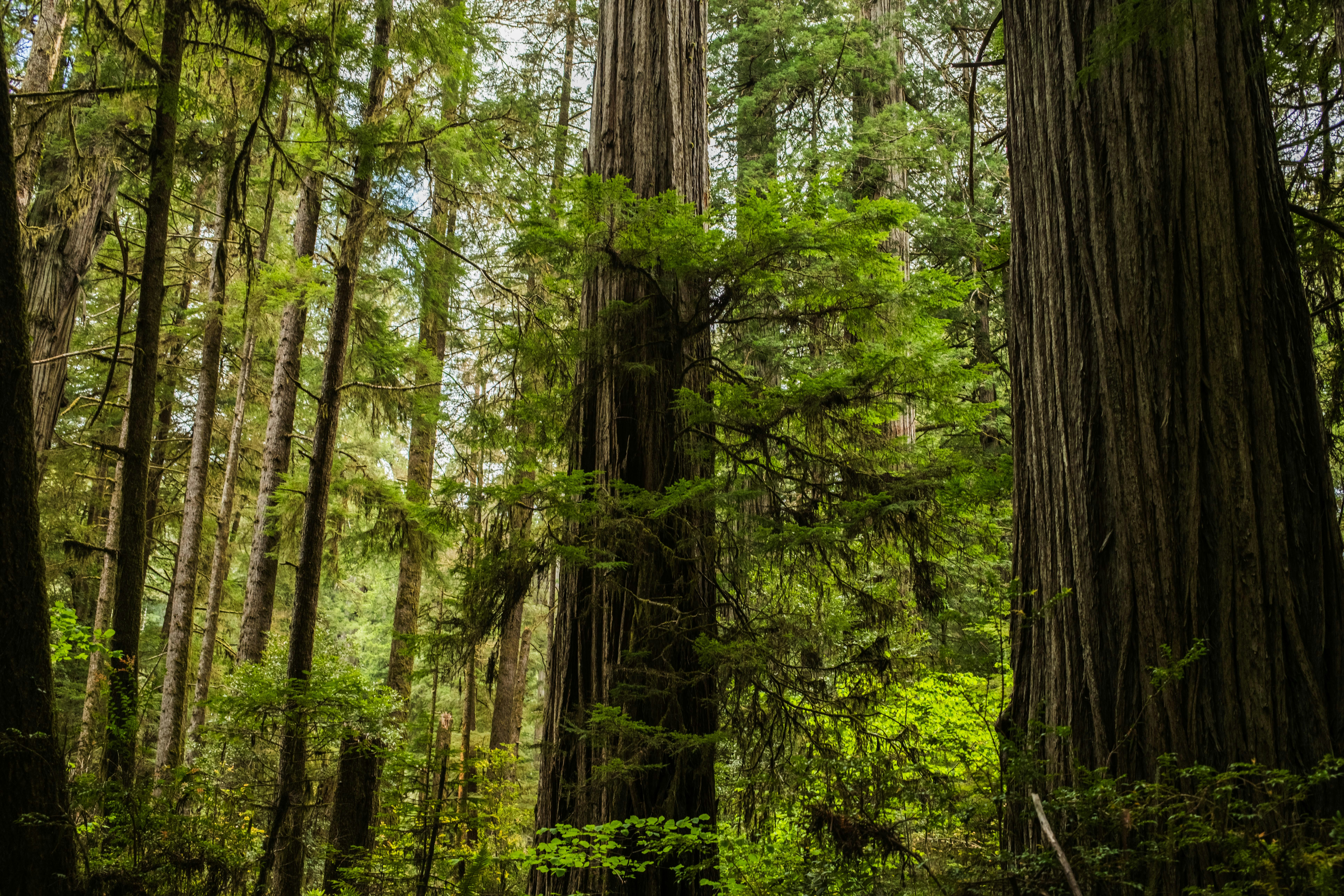 Photo by taylorzannis