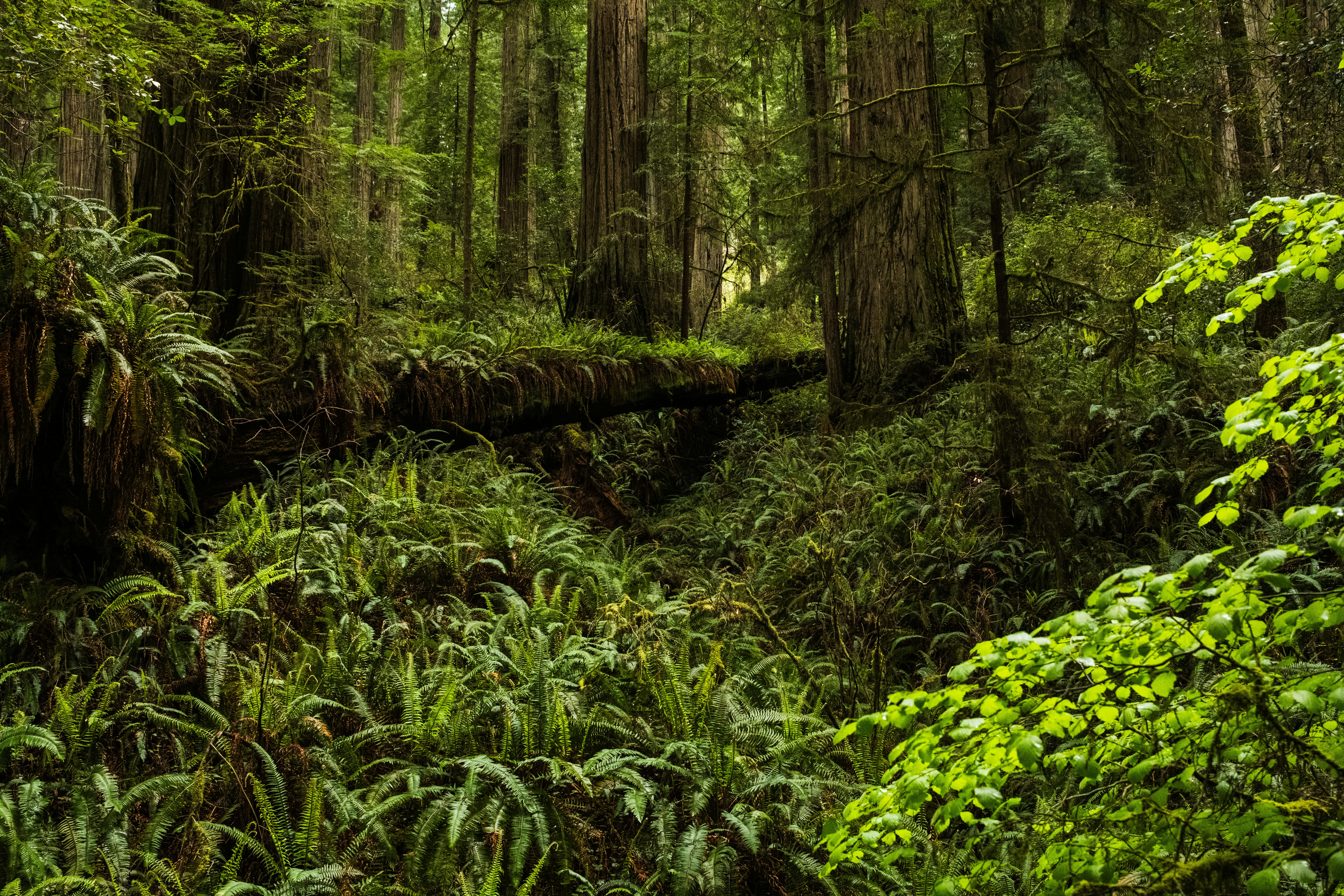 Photo by taylorzannis