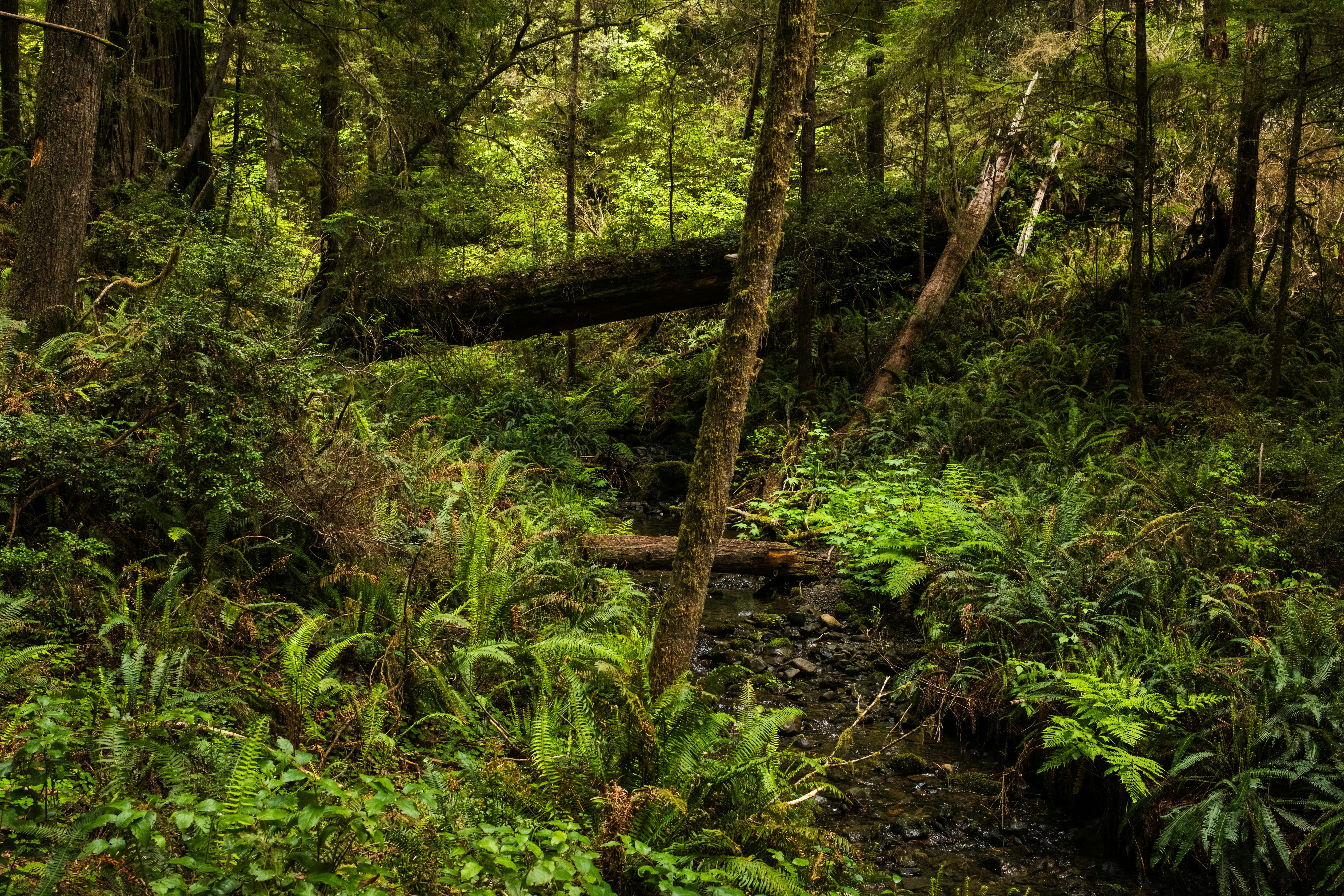 Photo by taylorzannis