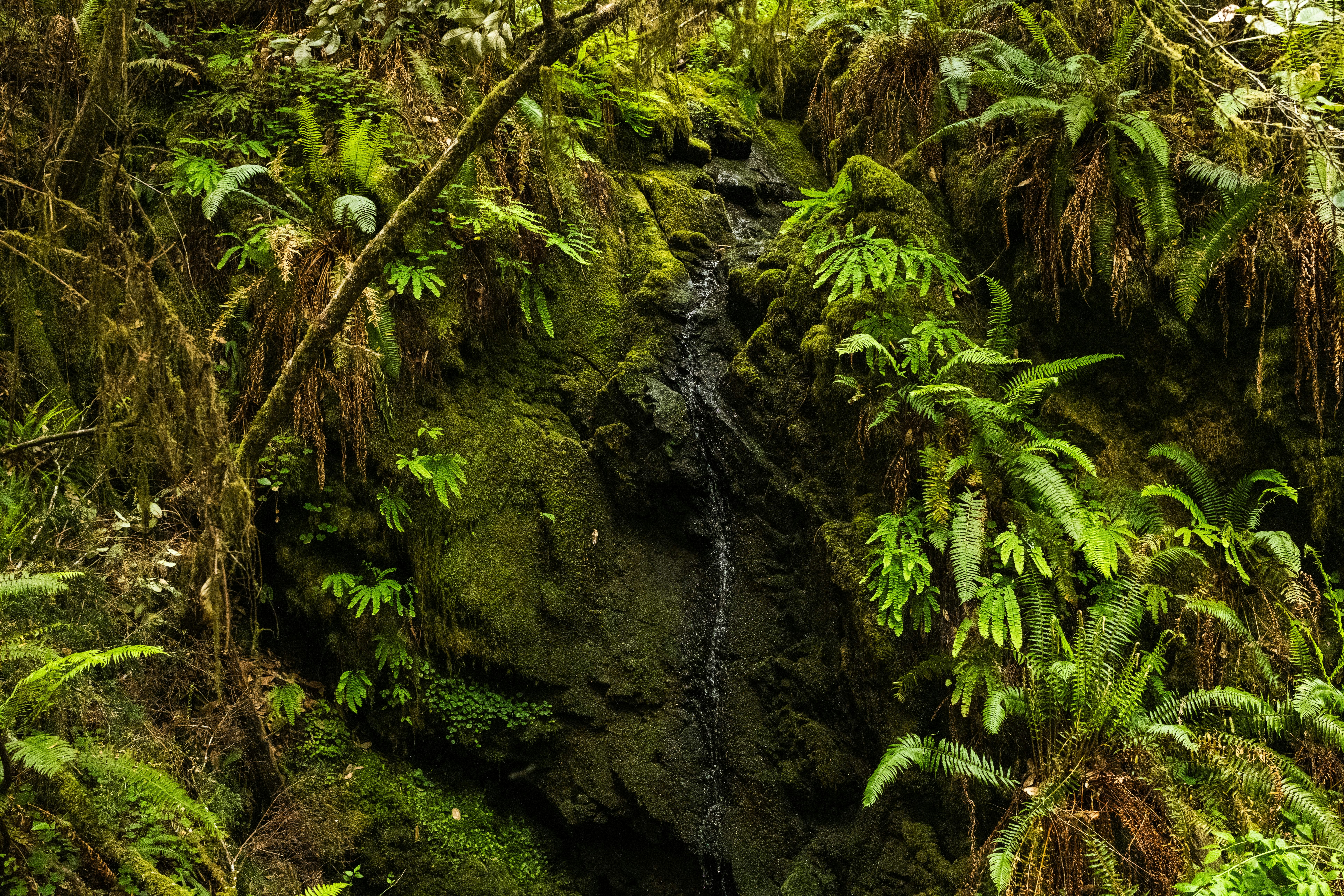 Photo by taylorzannis