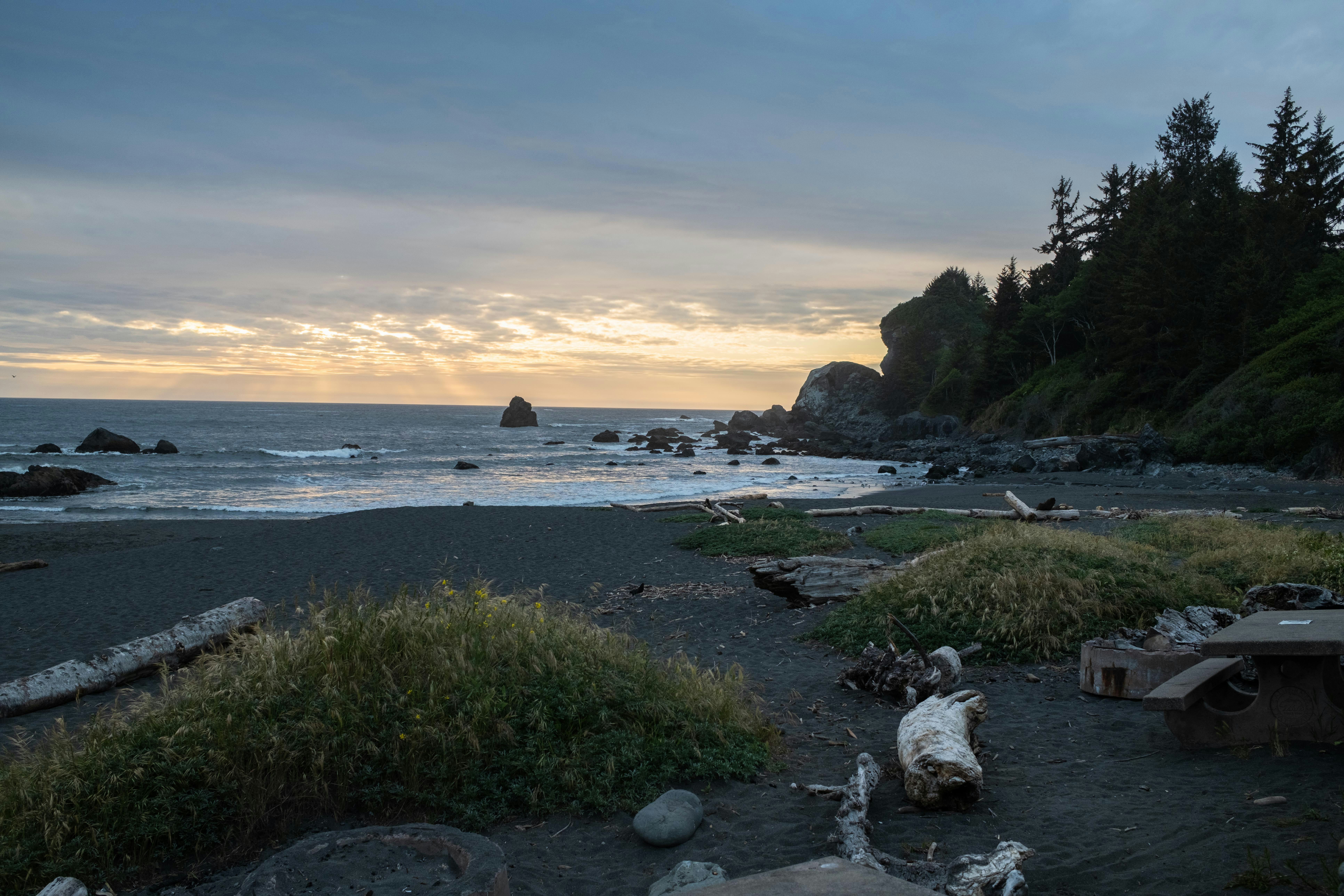 Photo by taylorzannis