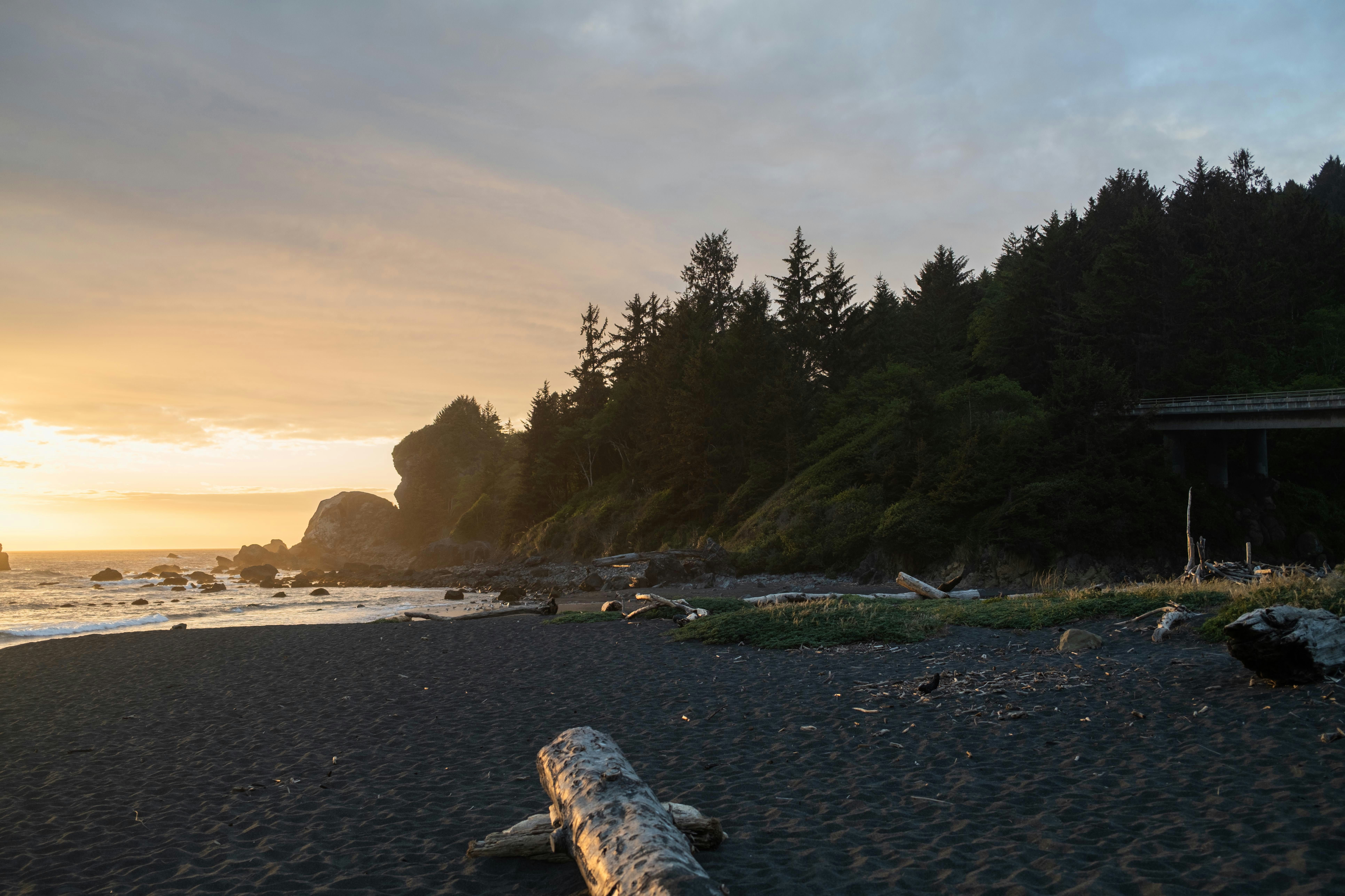 Photo by taylorzannis