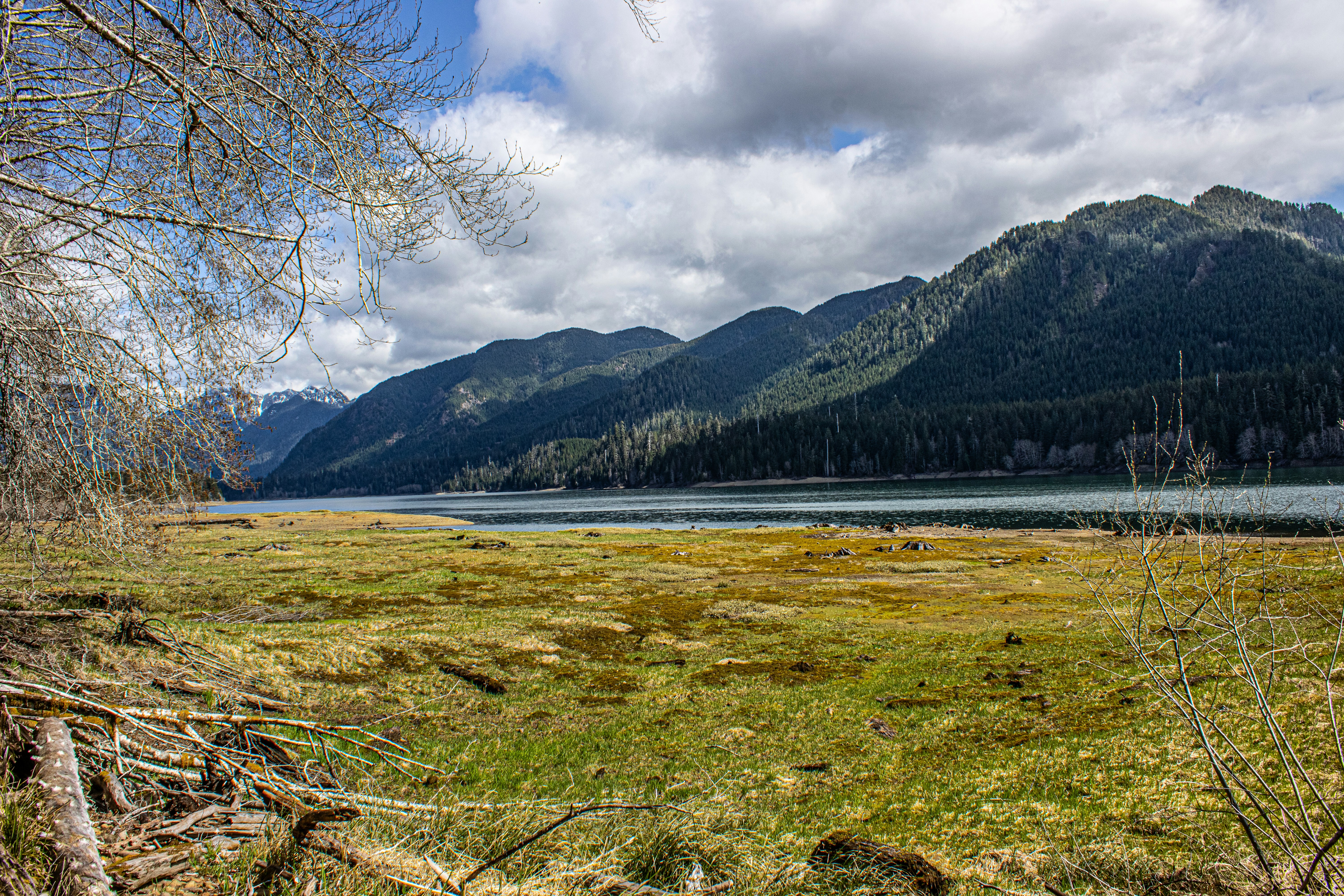 Photo by prphotography262