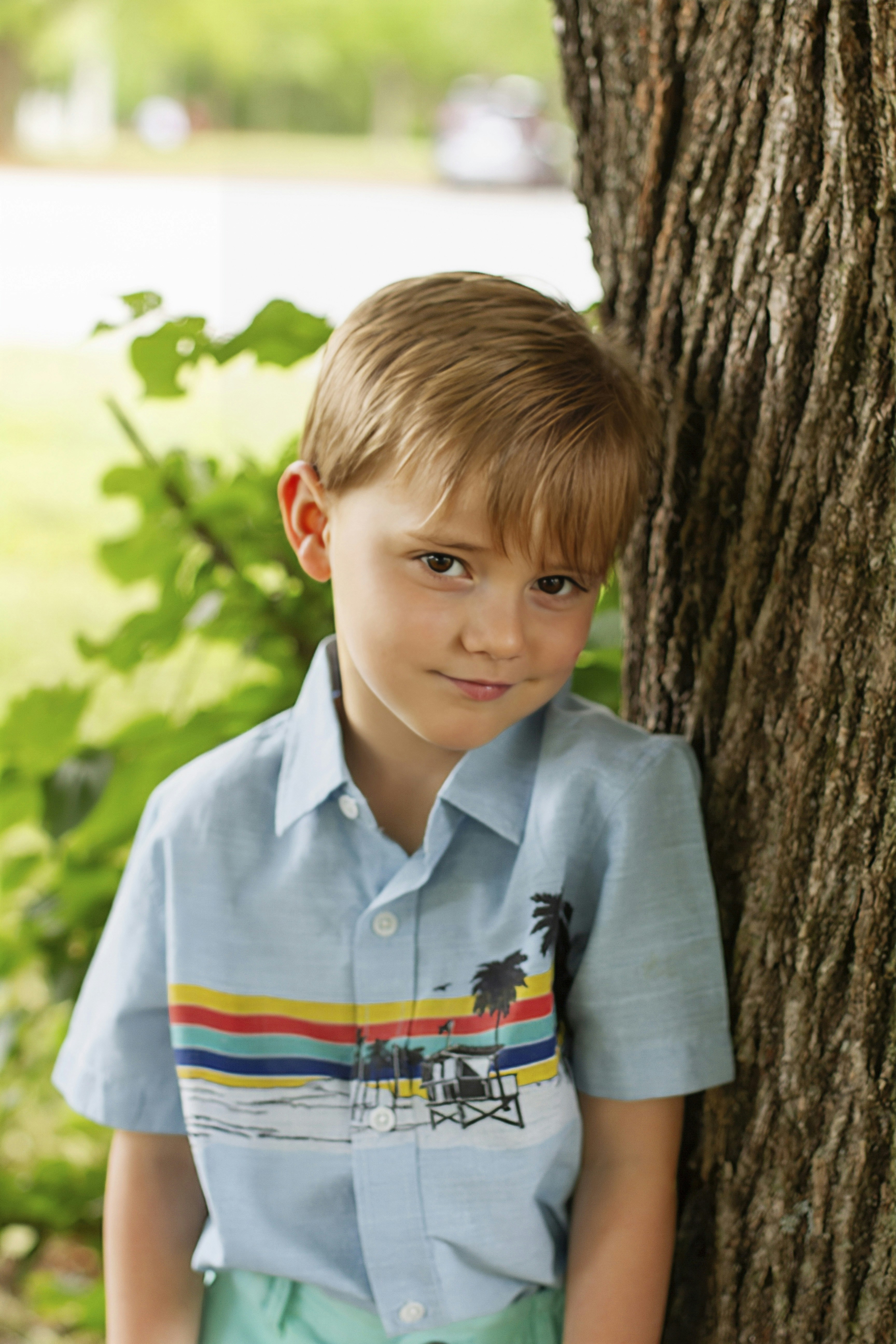 A young boy poses beside a tree.