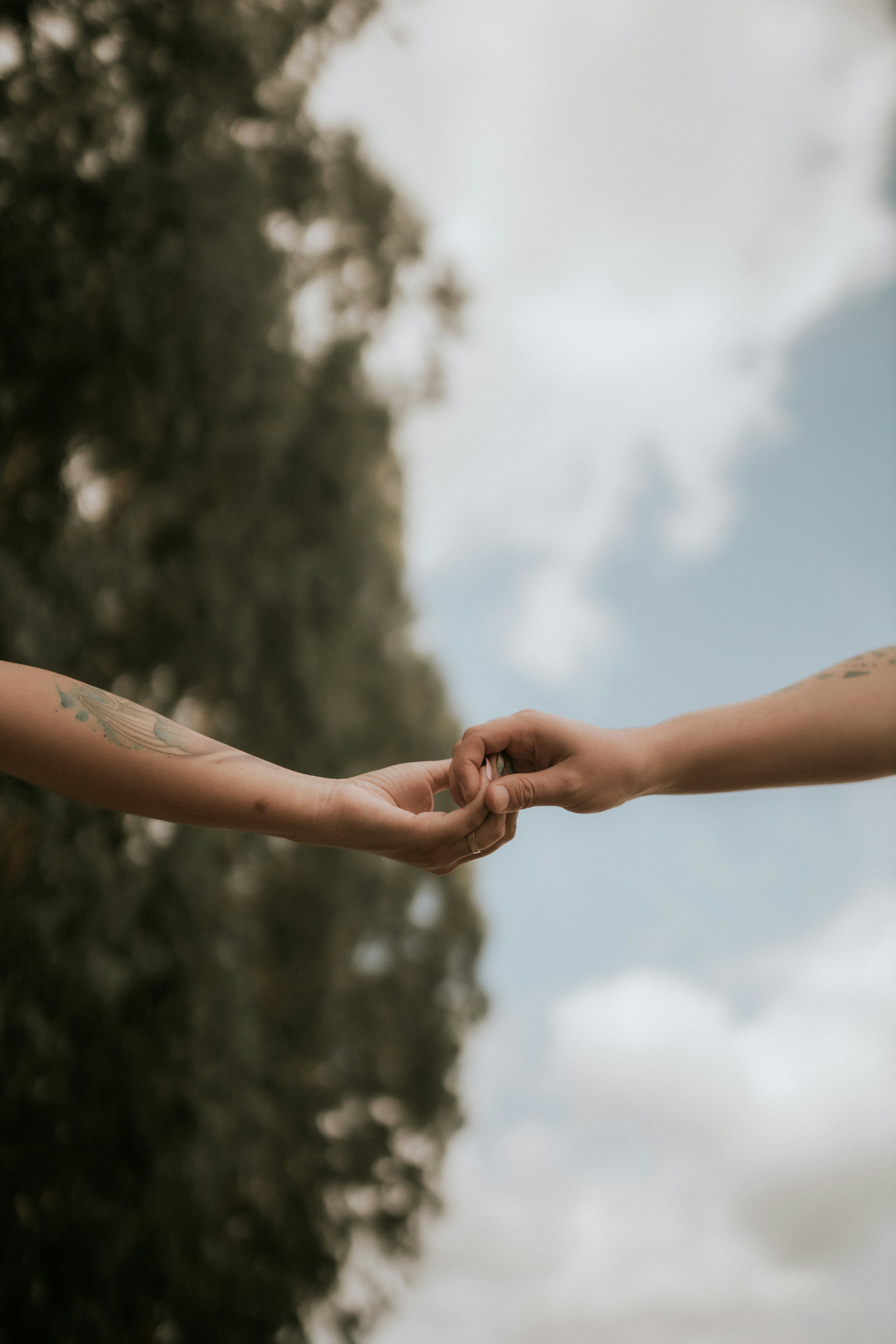 Photo by alexandermassph