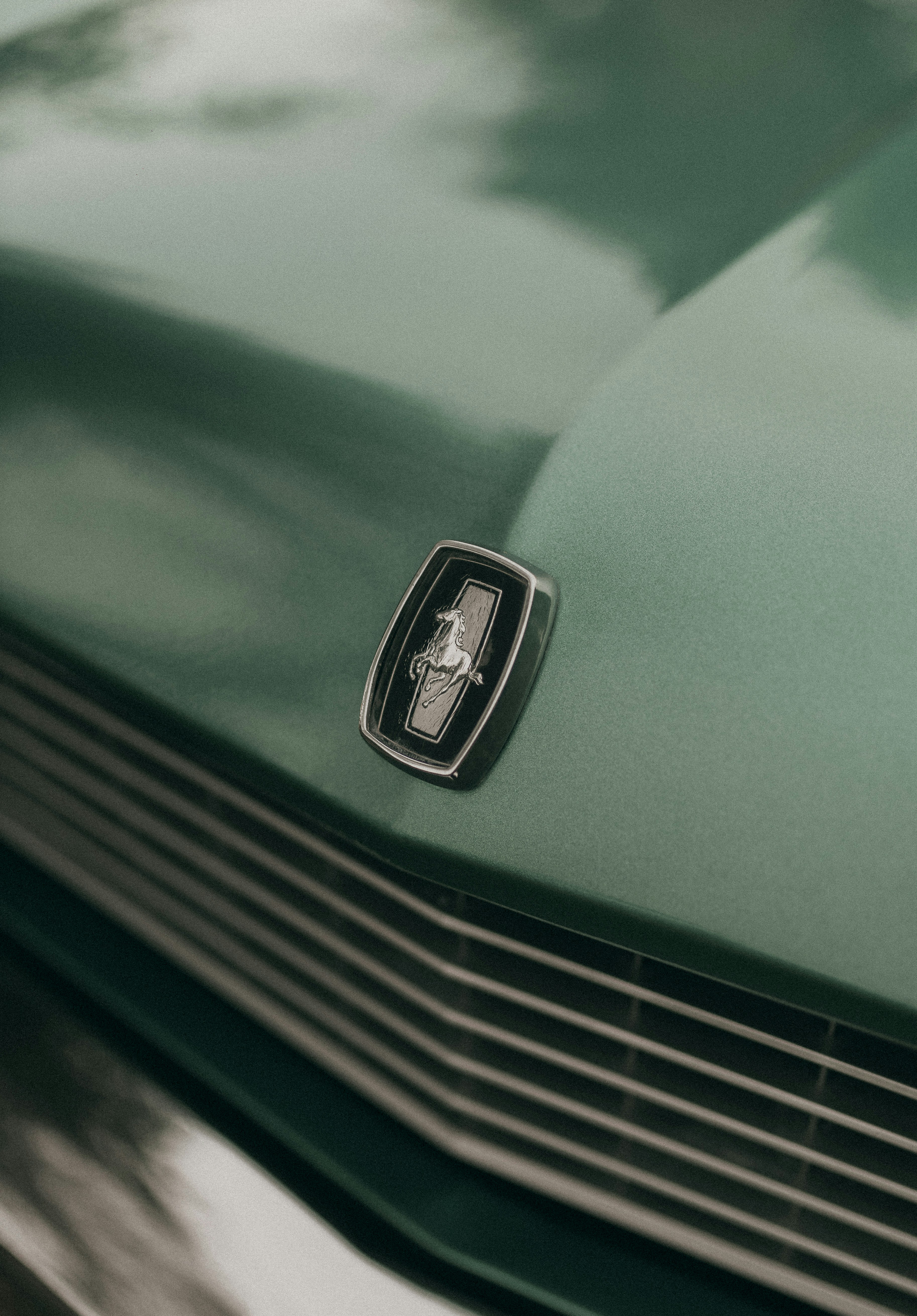 Photo by alexandermassph