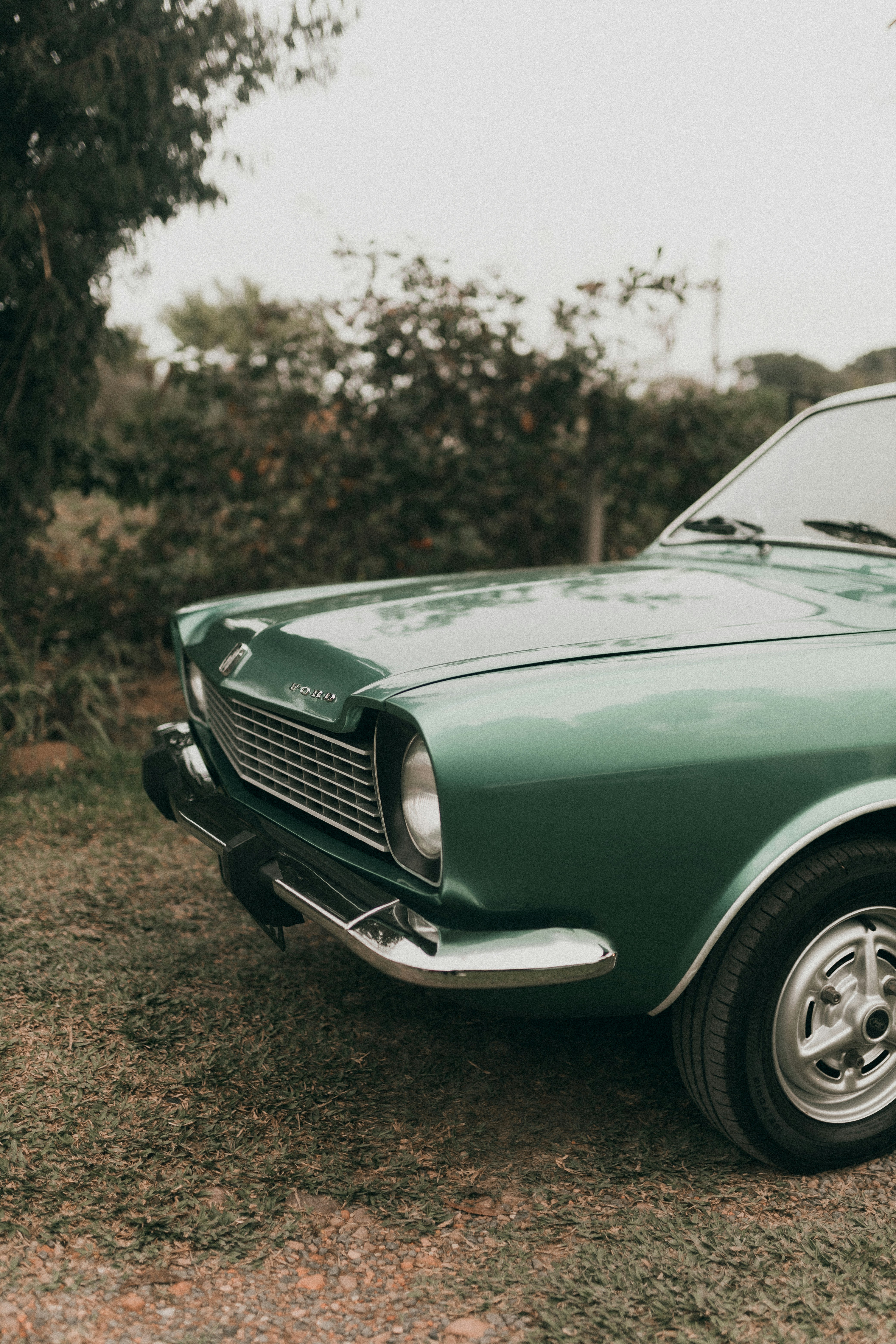 Photo by alexandermassph