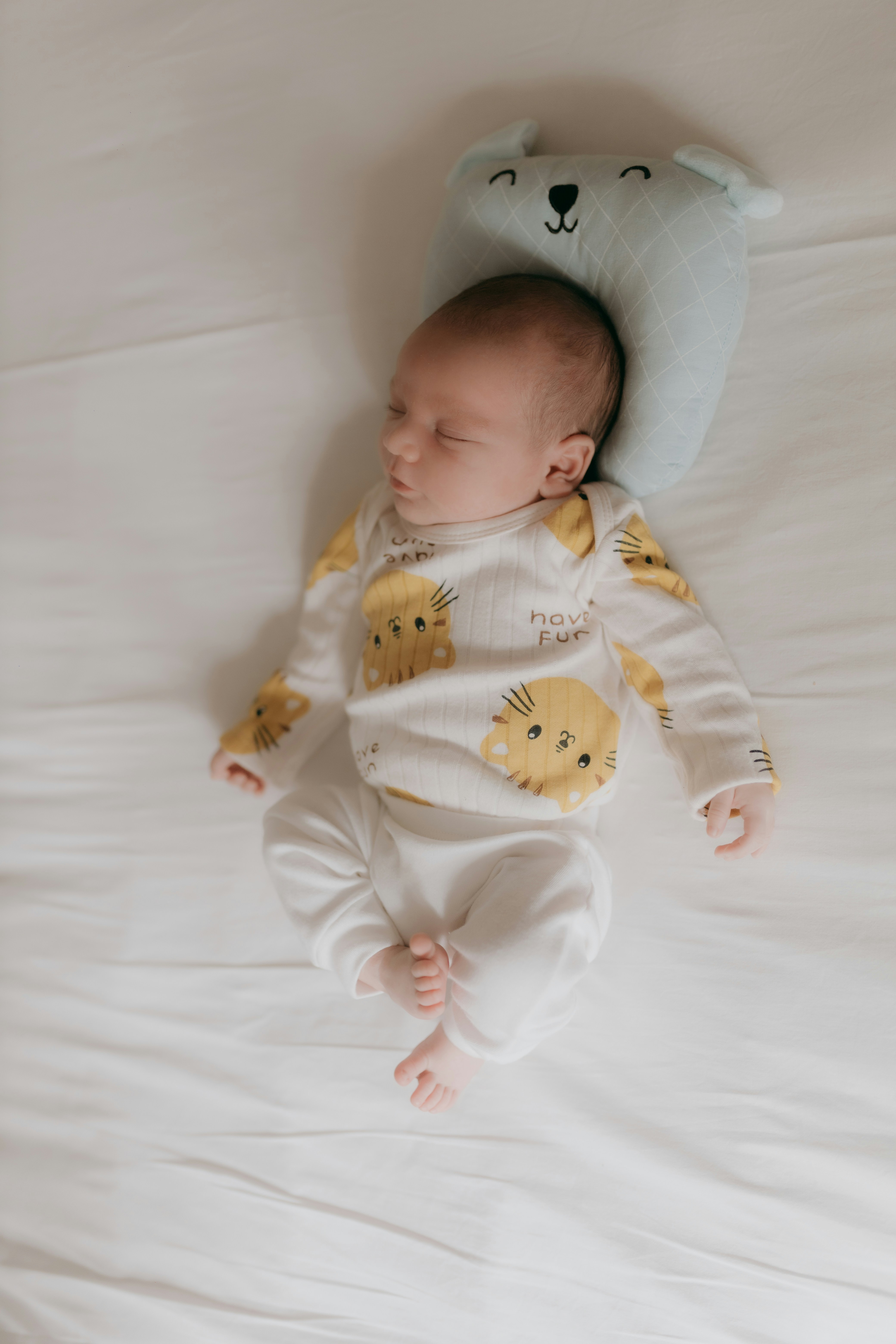 Photo by alexandermassph