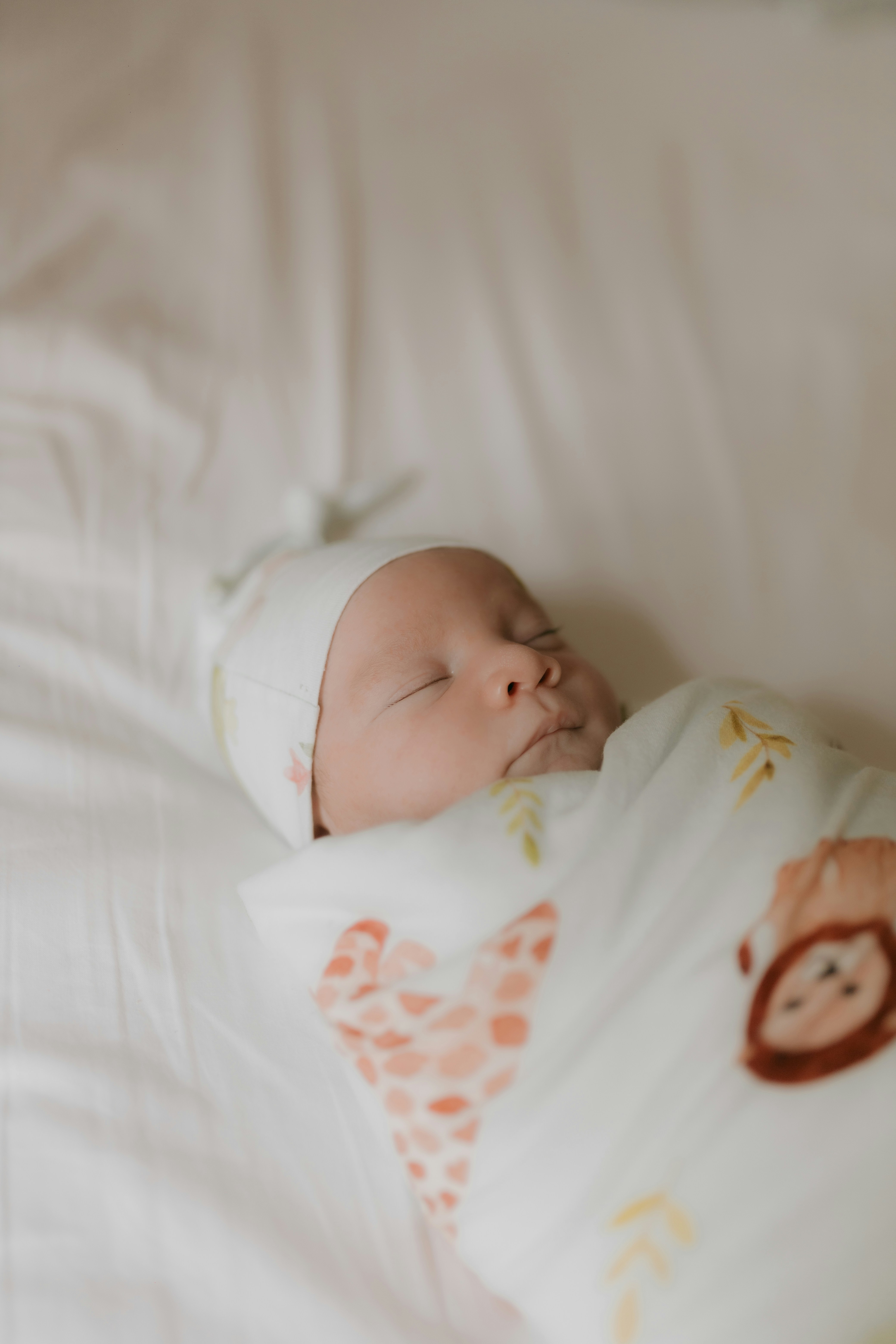 Photo by alexandermassph