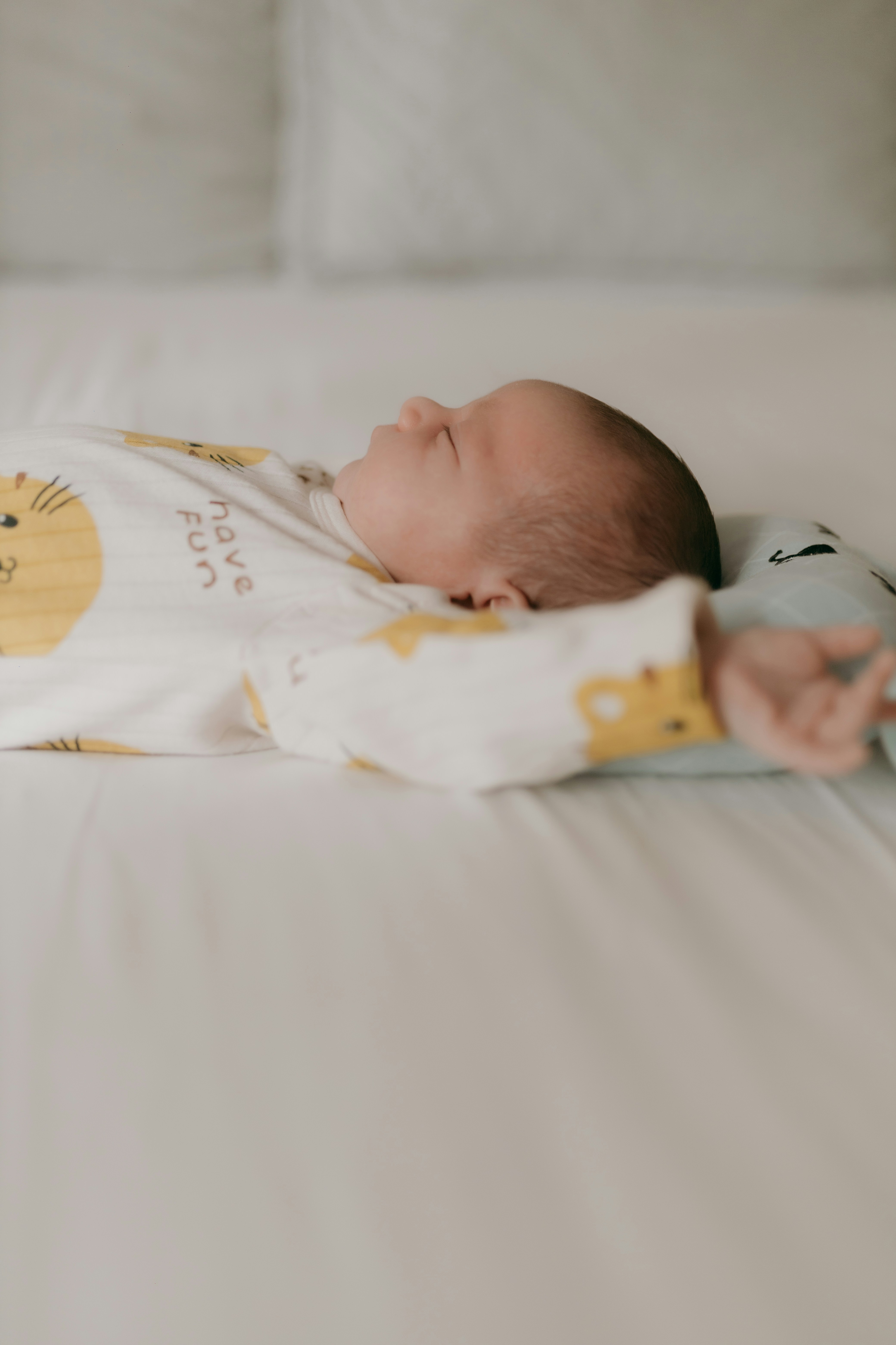 Photo by alexandermassph