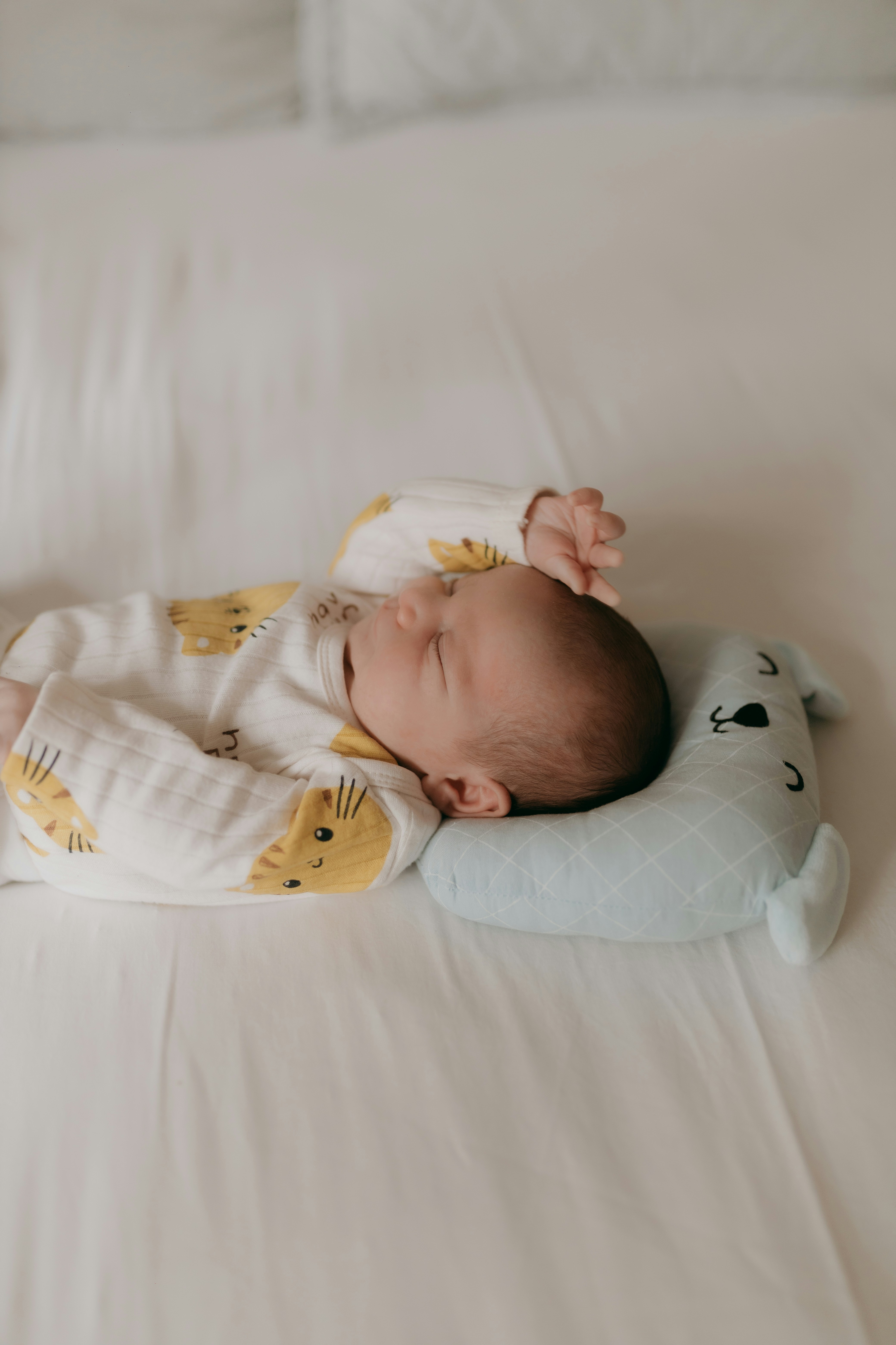 Photo by alexandermassph