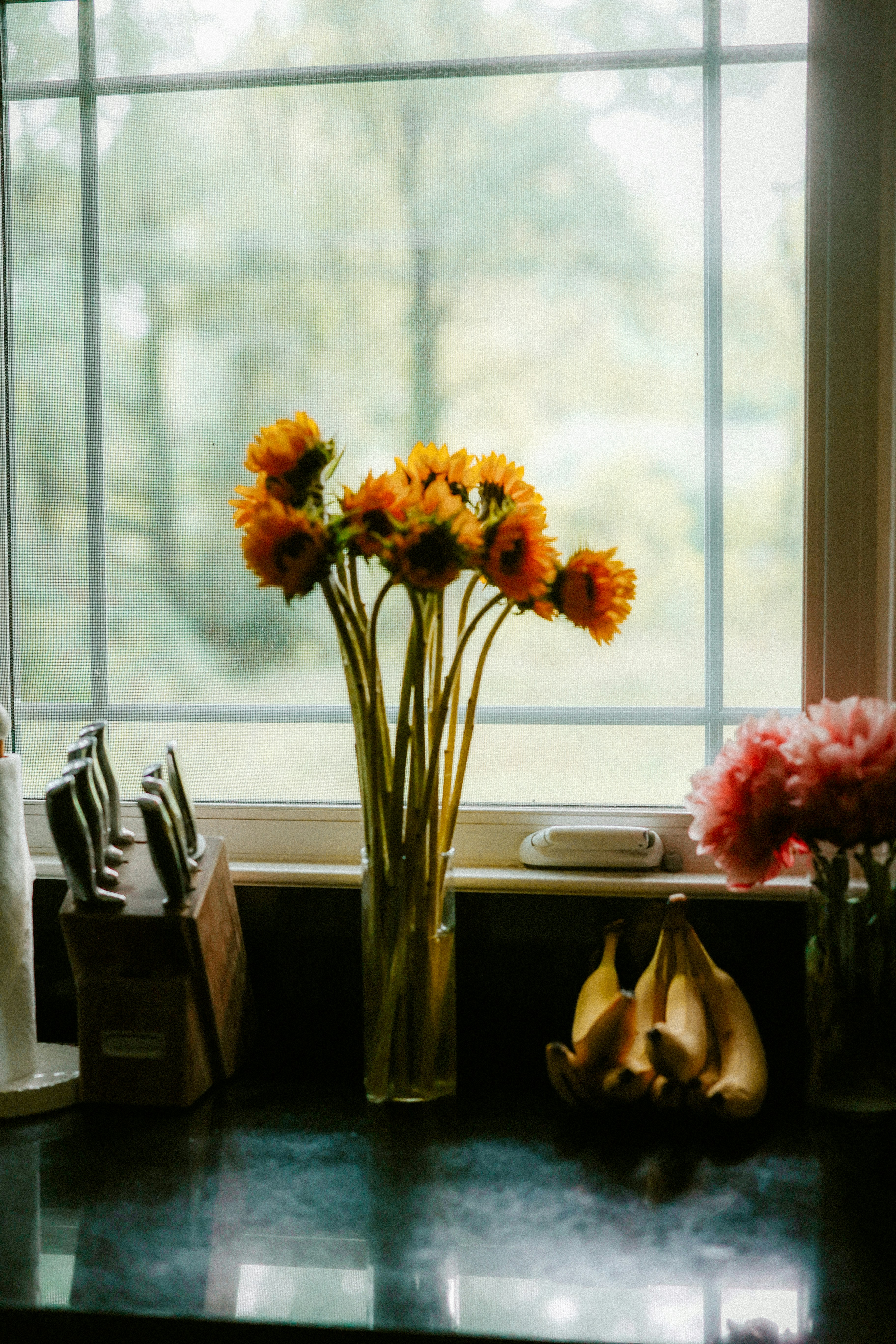 Photo by brookebalentine