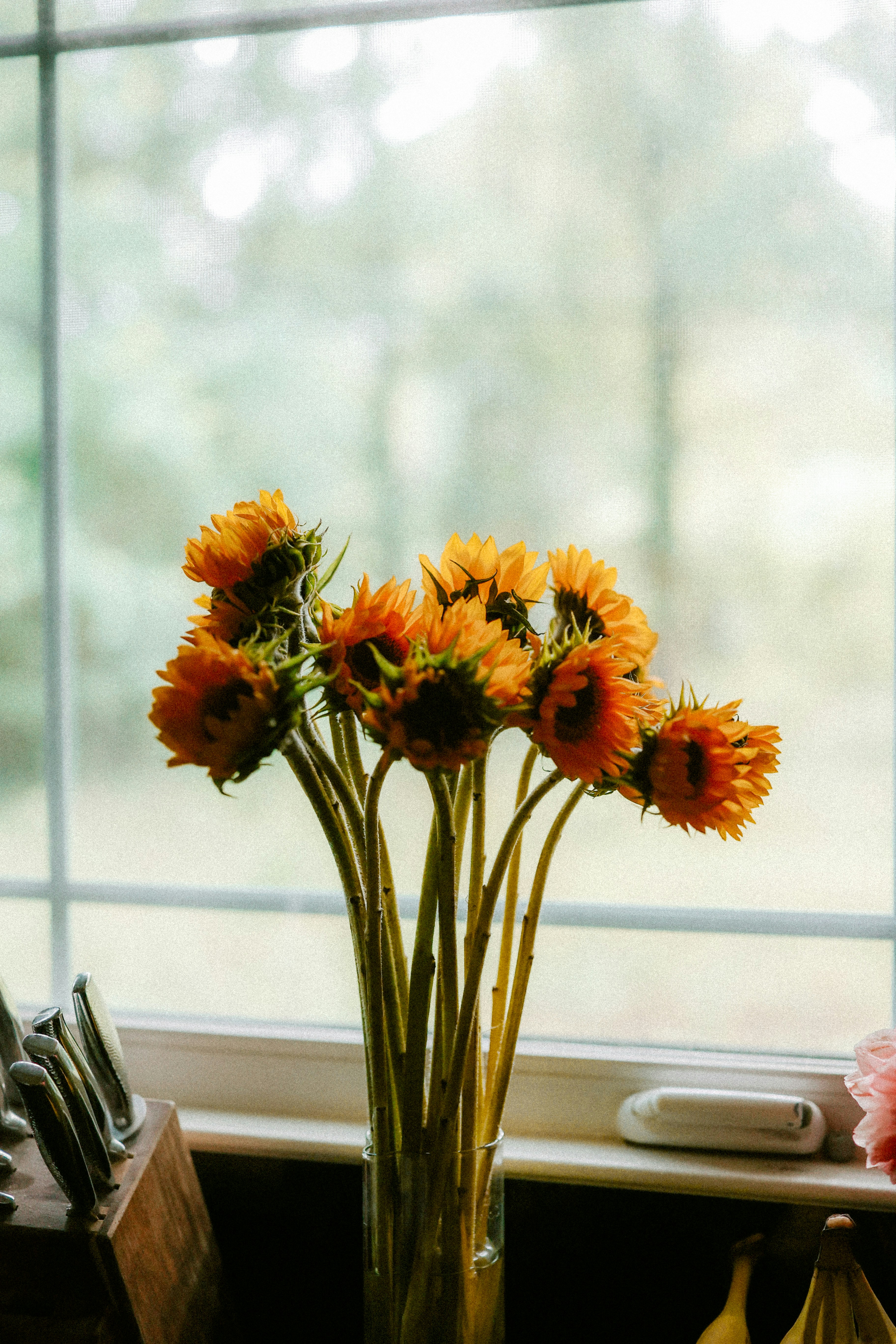 Photo by brookebalentine