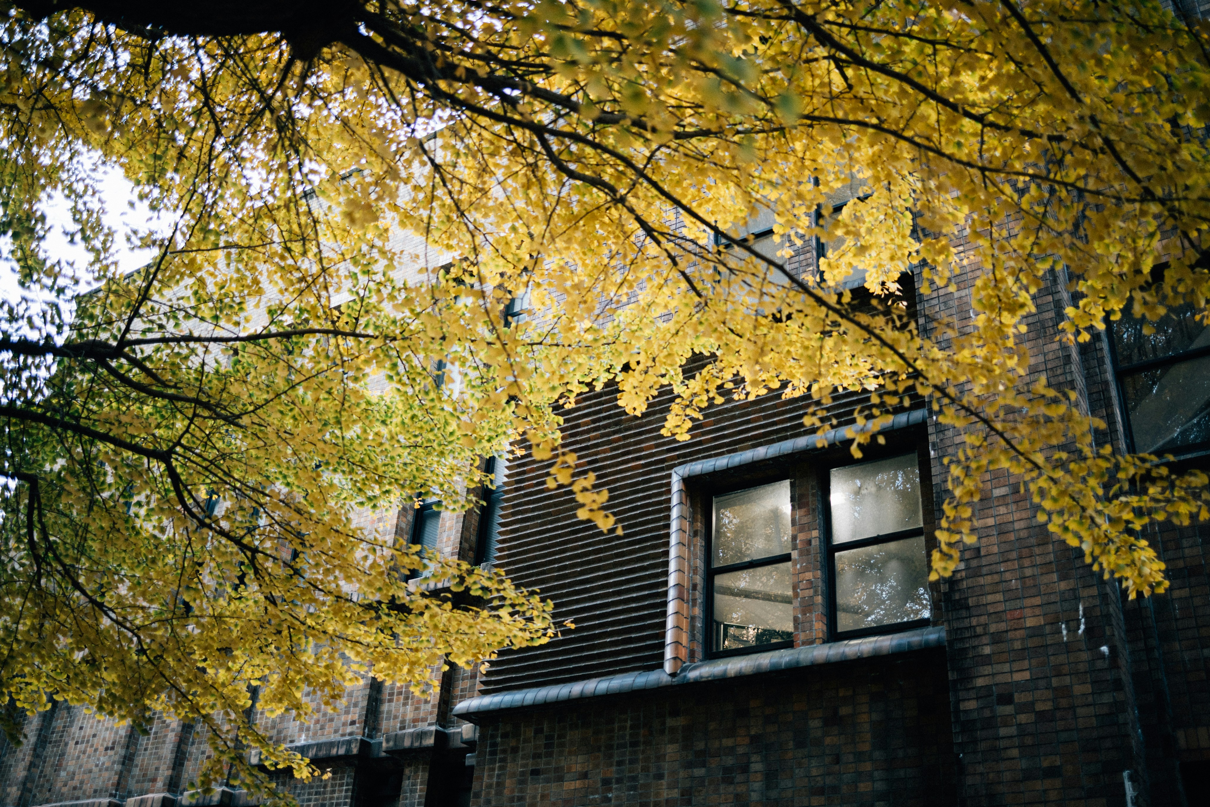 Photo by tsuyoshikozu