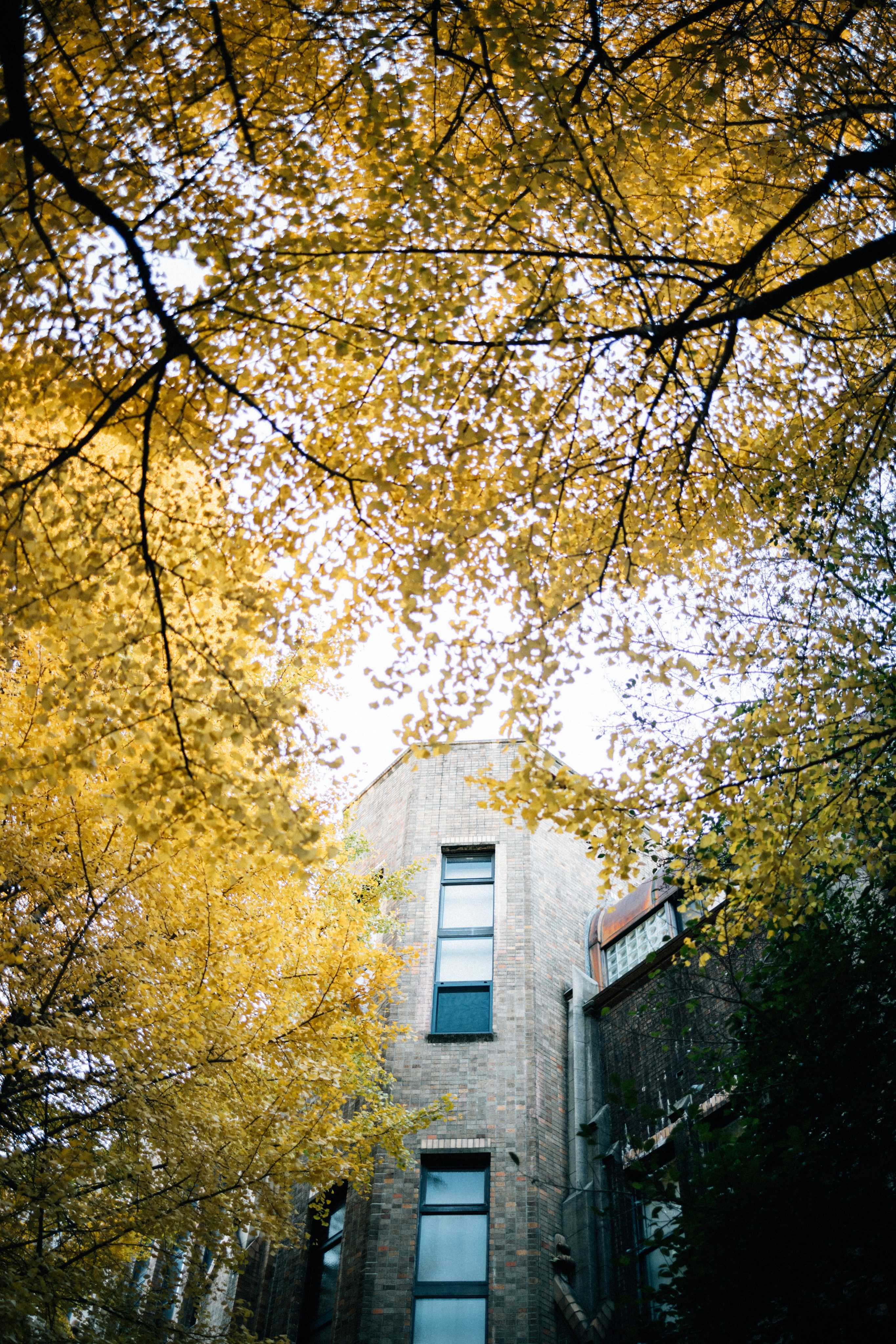 Photo by tsuyoshikozu