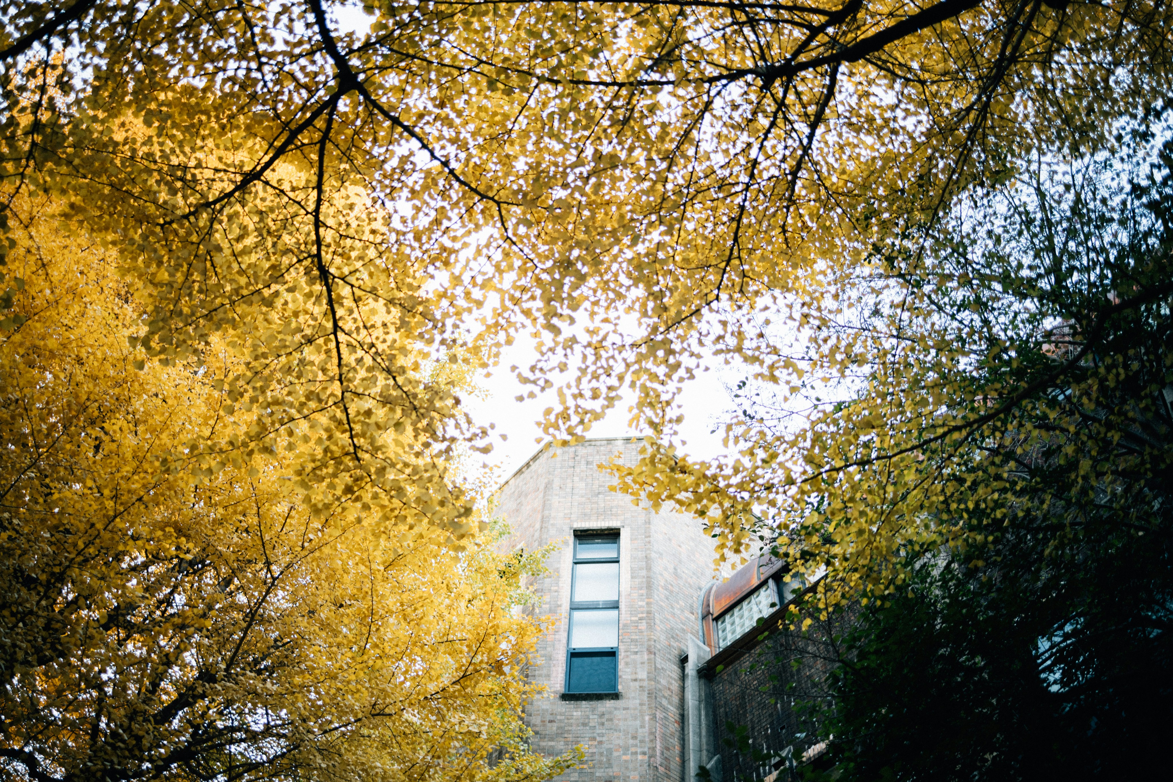 Photo by tsuyoshikozu