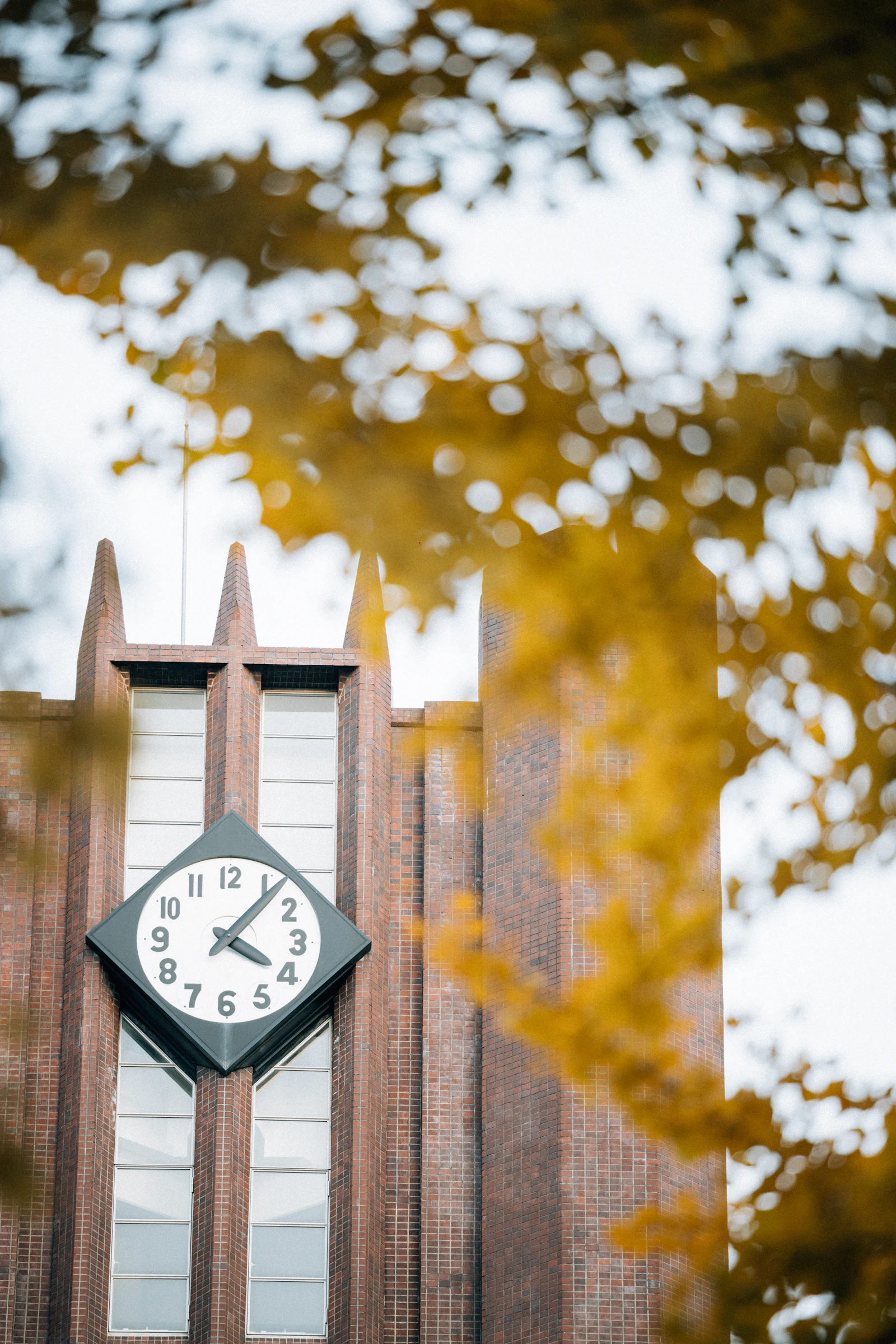 Clock tower surrounded by autumn leaves