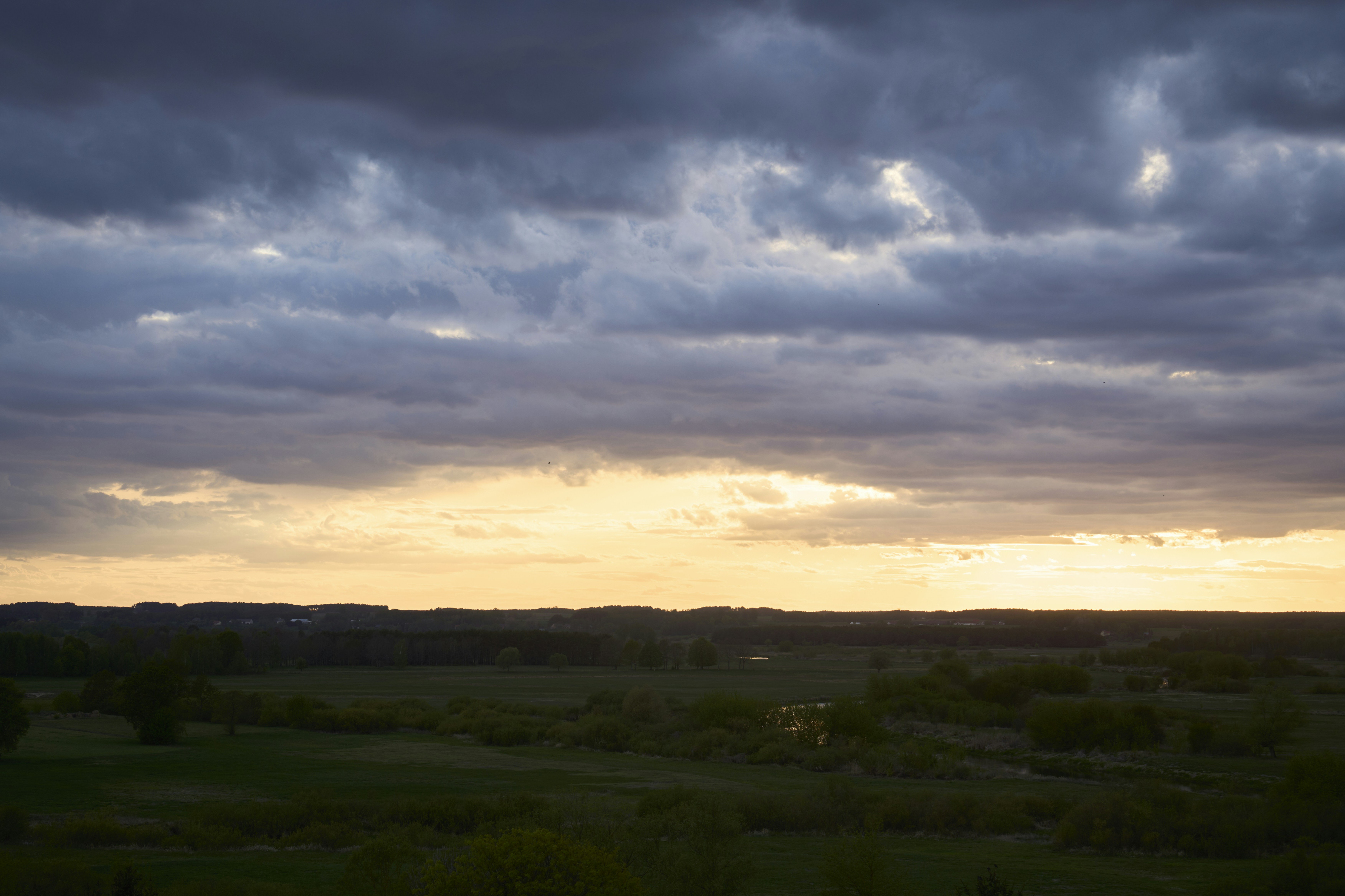 Photo by wolfgang_hasselmann