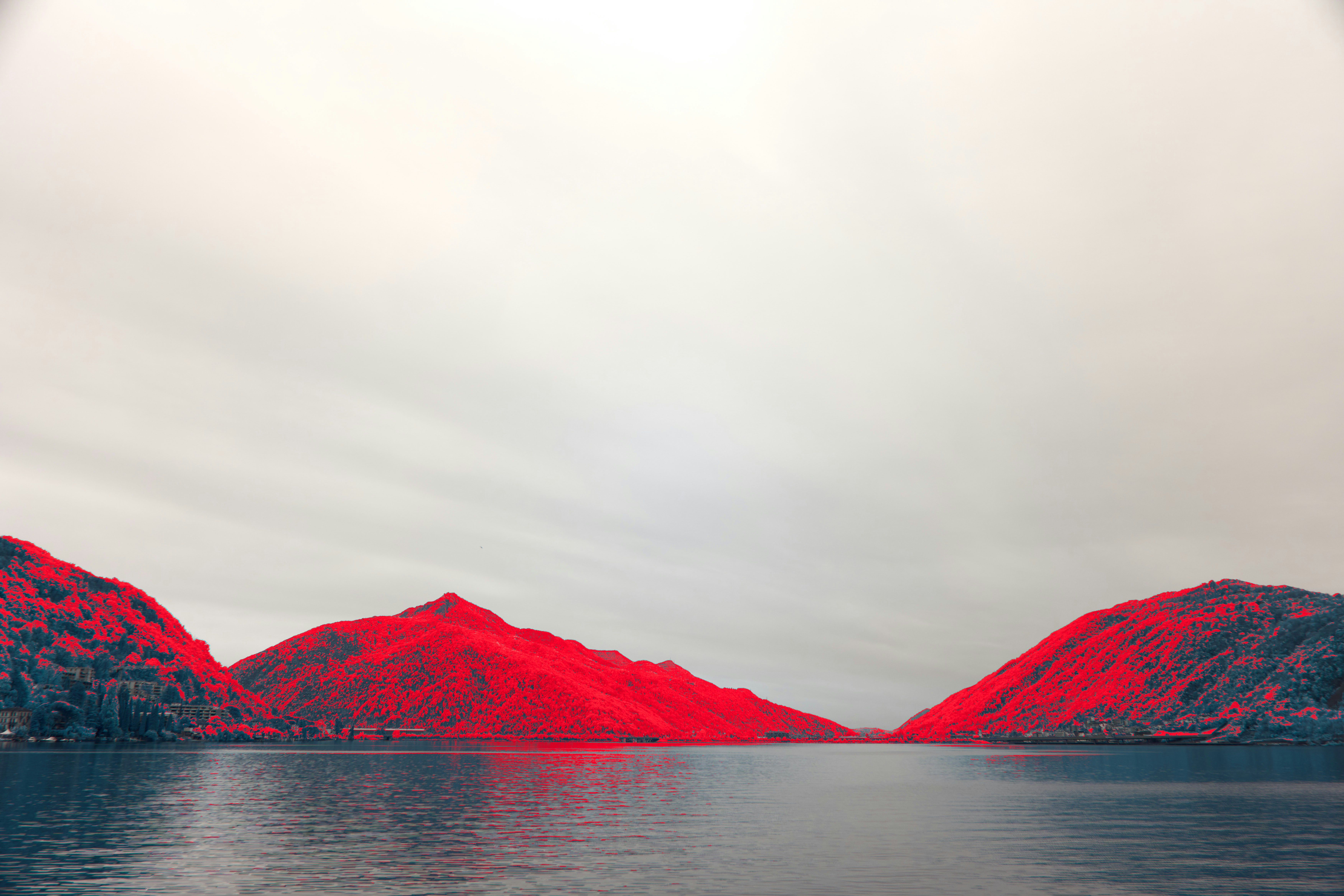 Photo by wolfgang_hasselmann