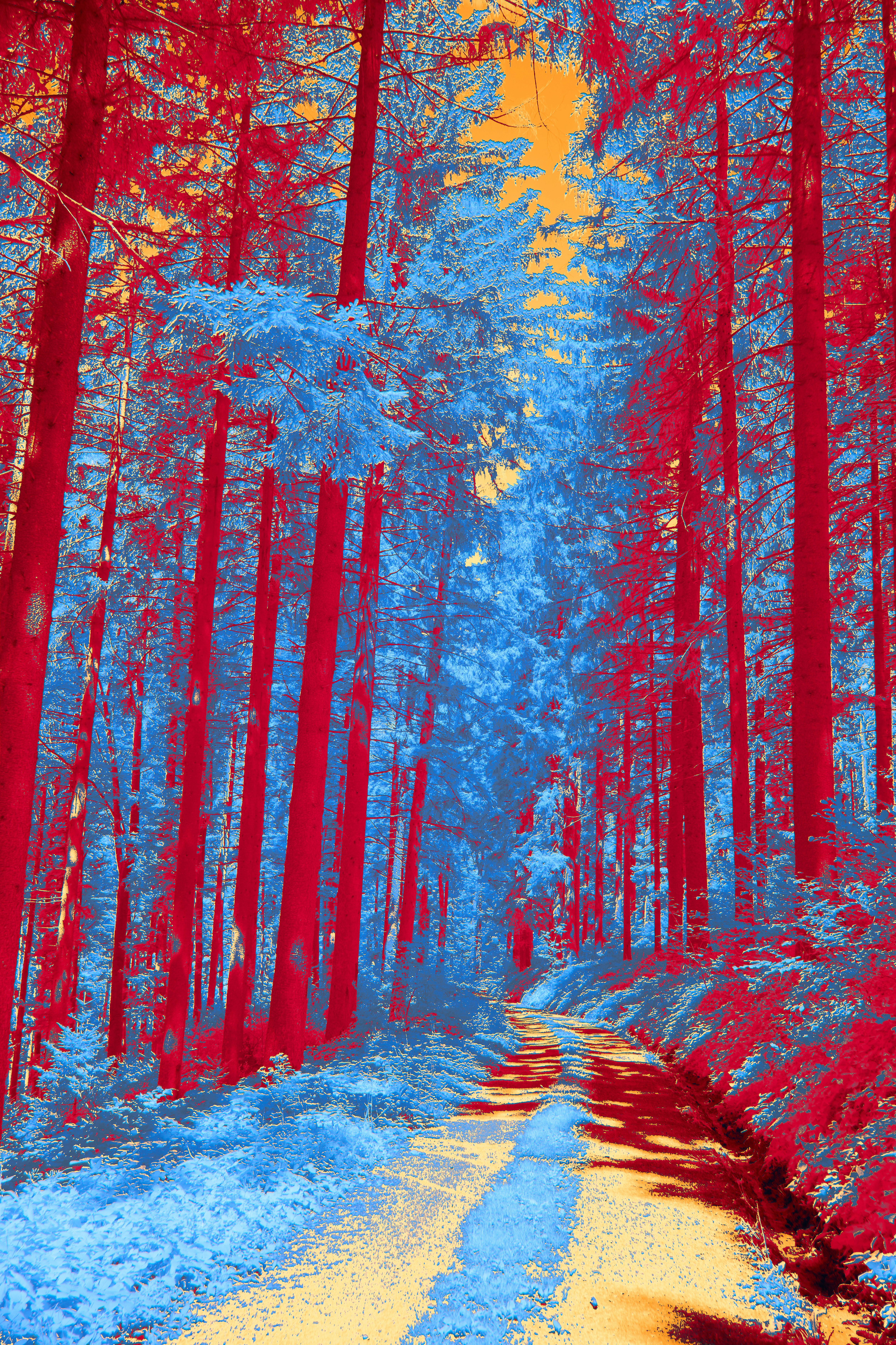 Photo by wolfgang_hasselmann