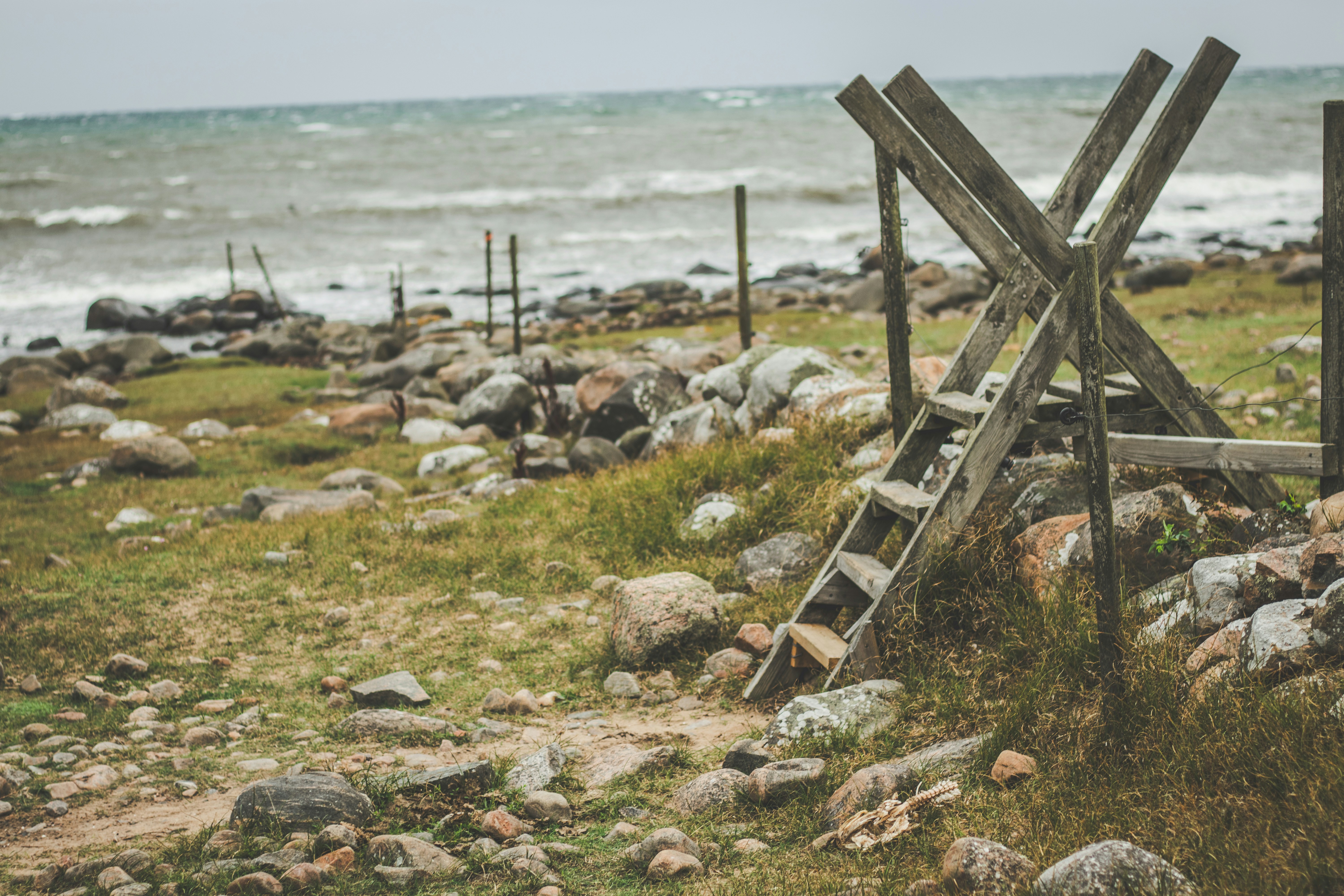 Photo by kattavonben