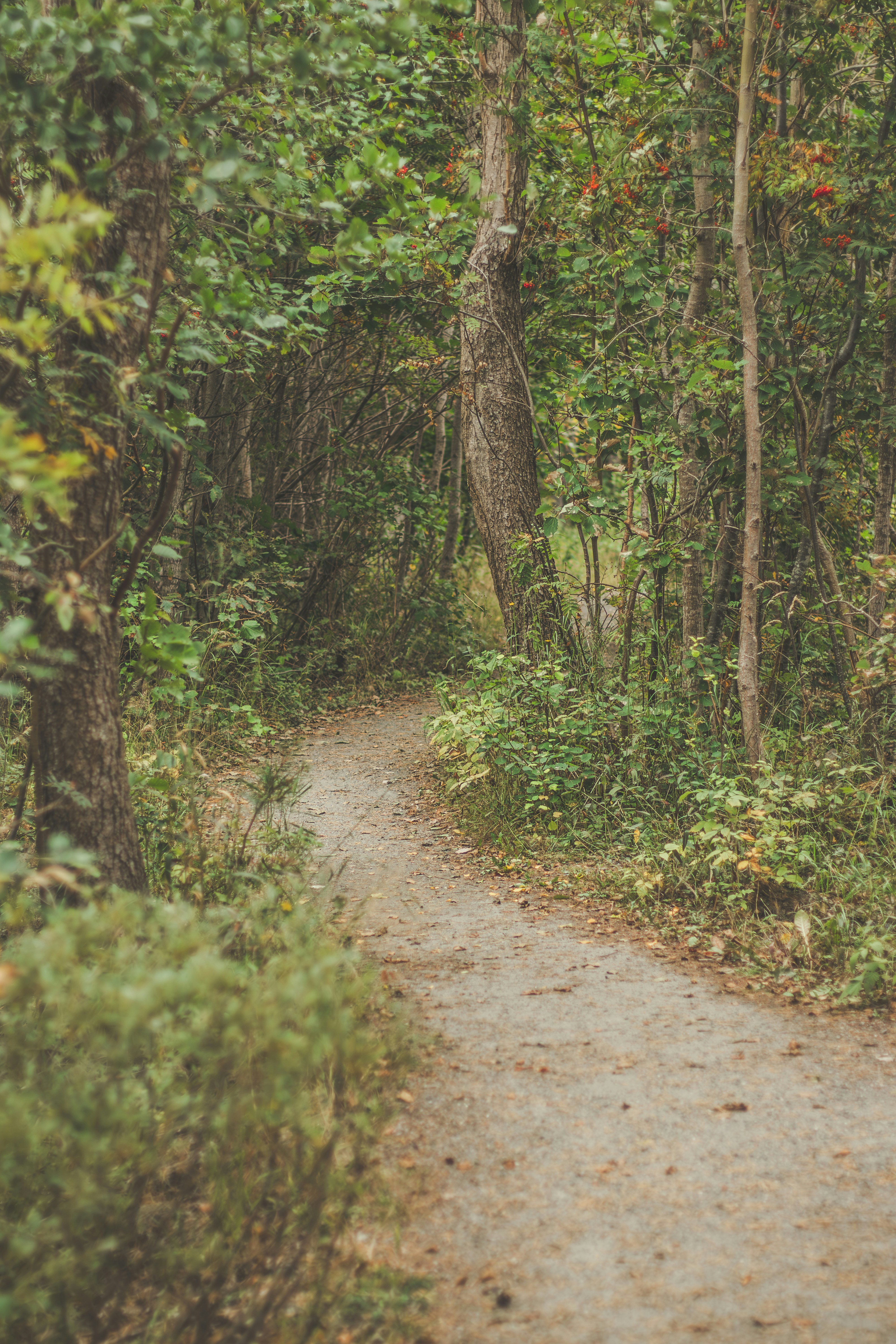 Photo by kattavonben