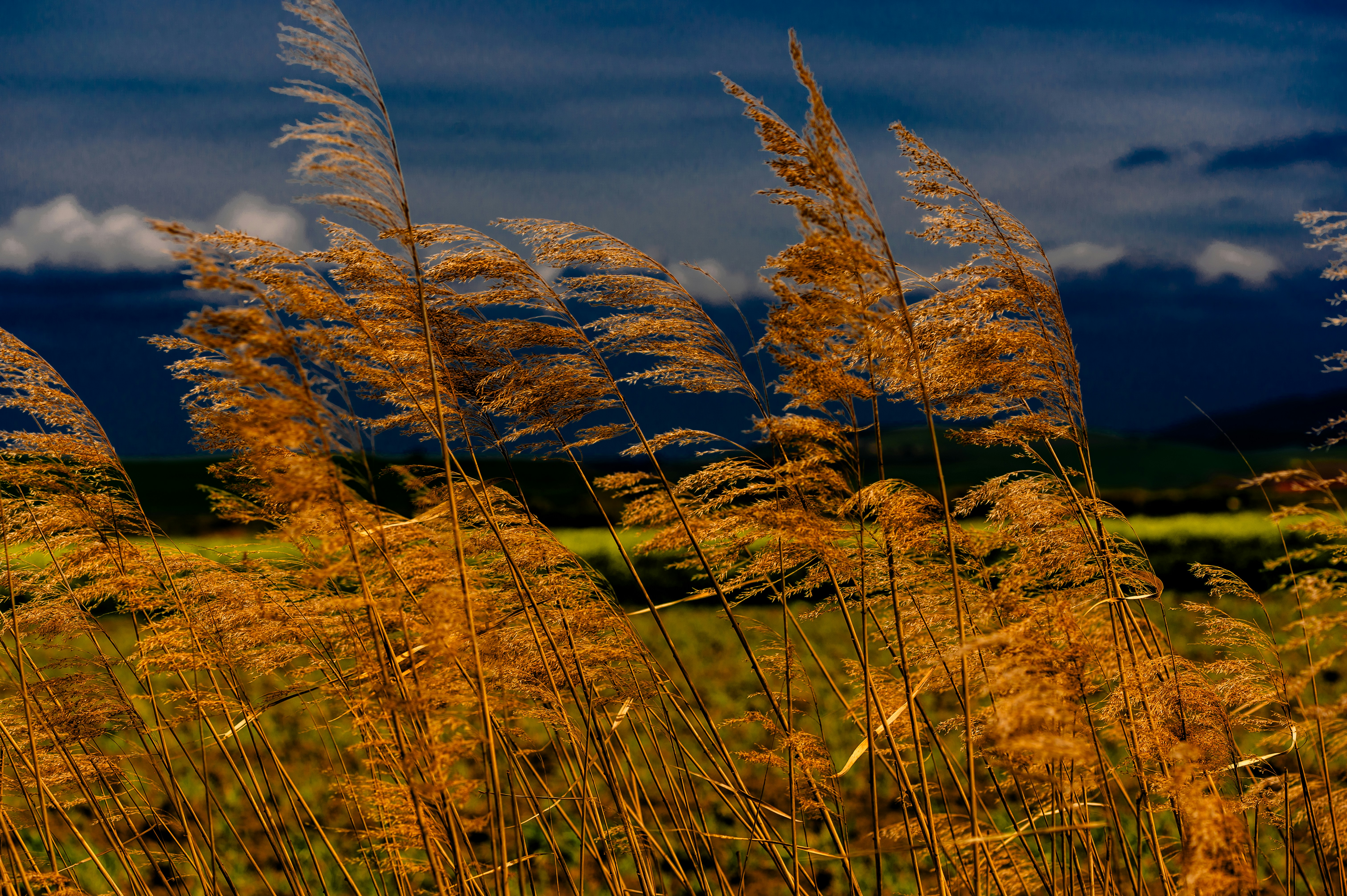 Photo by lucaakalu