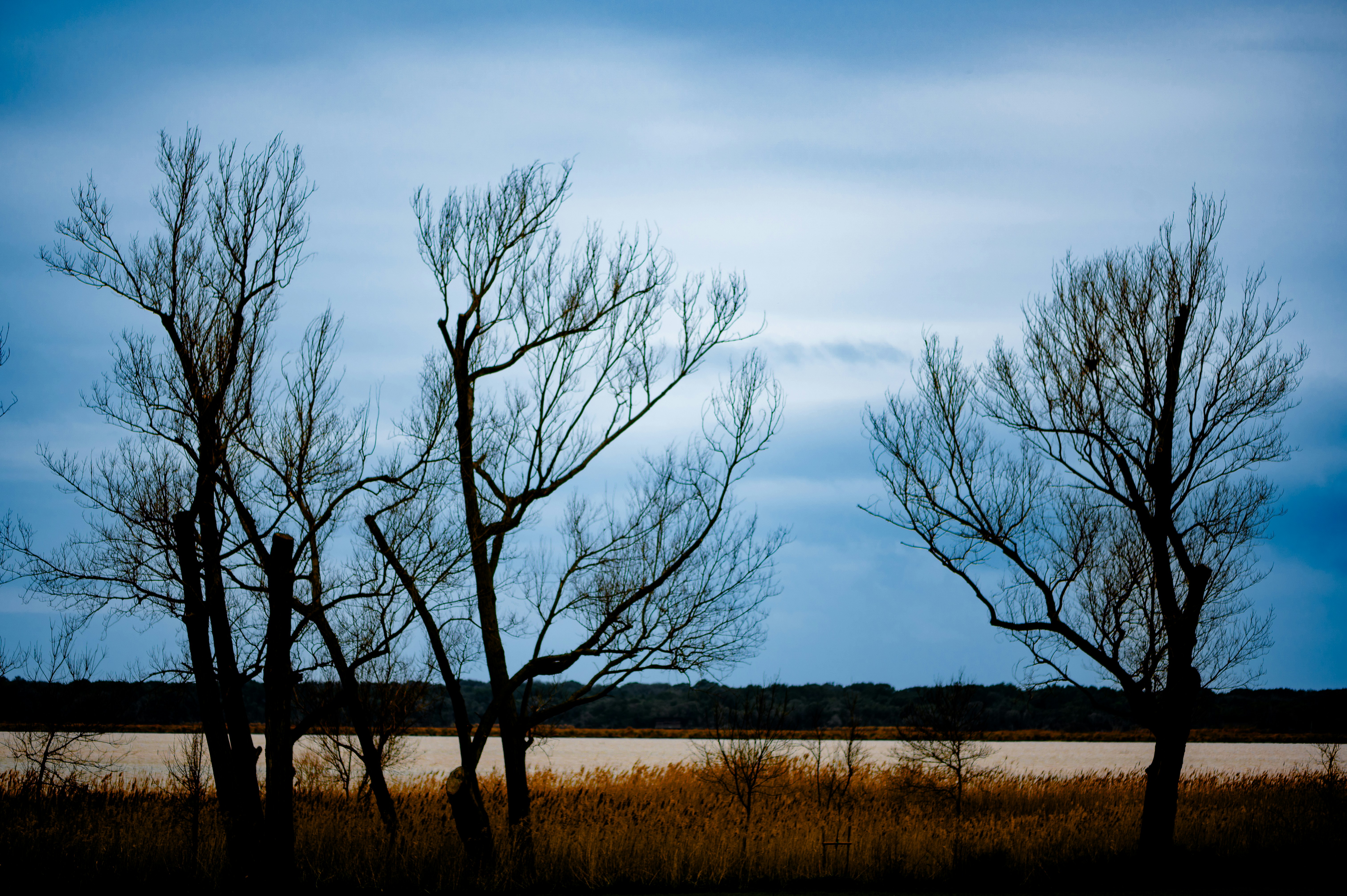 Photo by lucaakalu