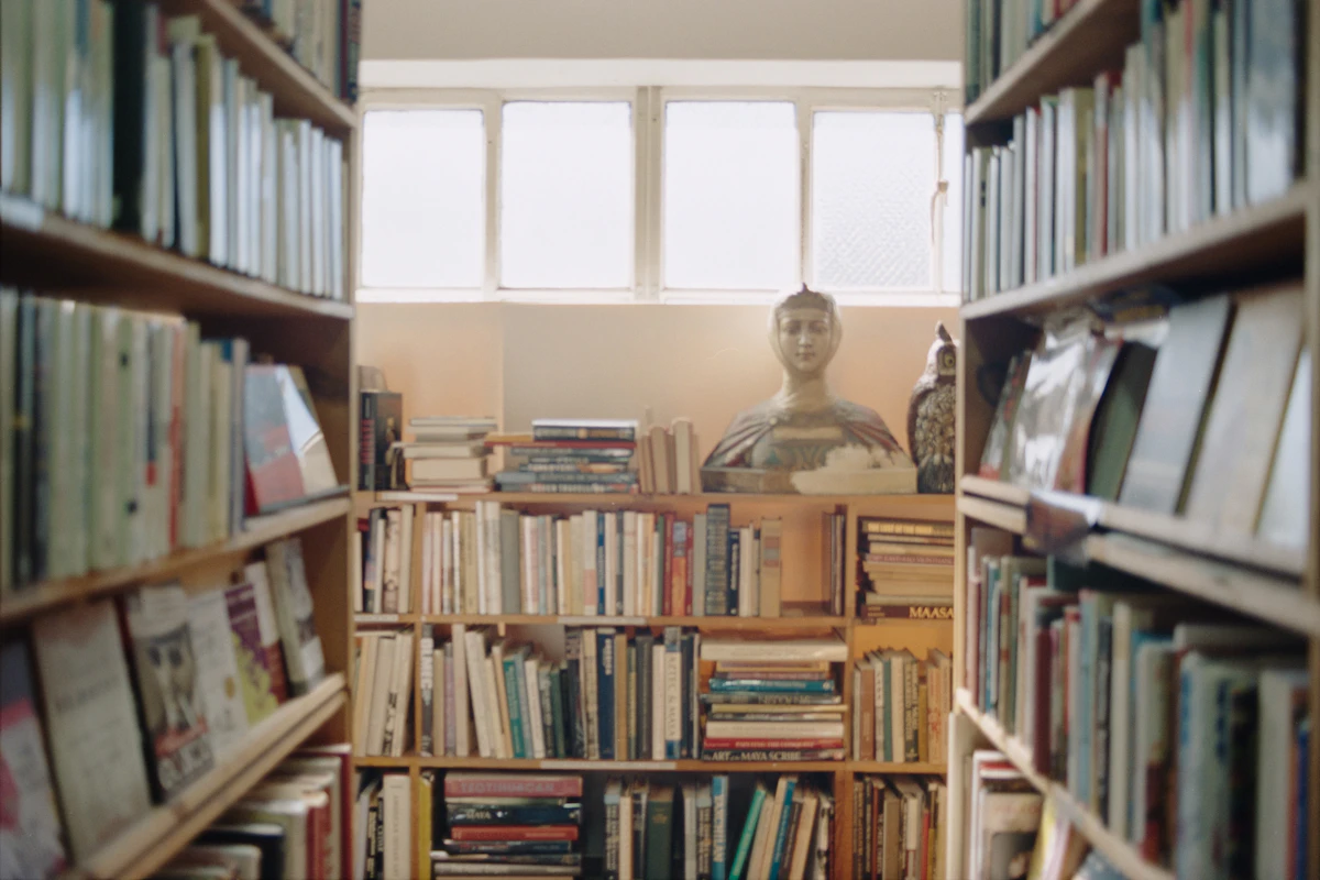 Wooden bookshelves filled with books in a cozy library, warm afternoon light.