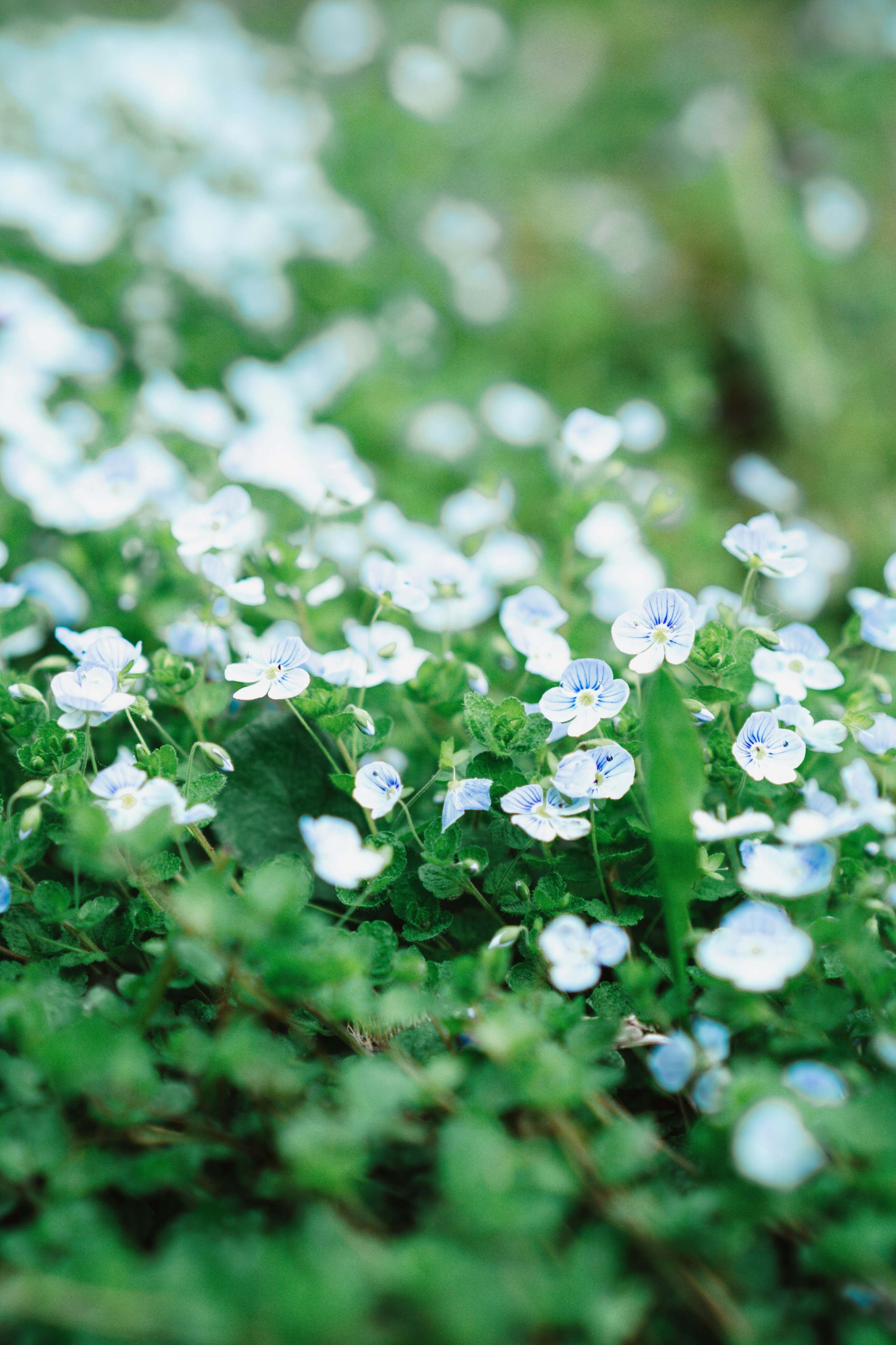 Photo by anamnesis33