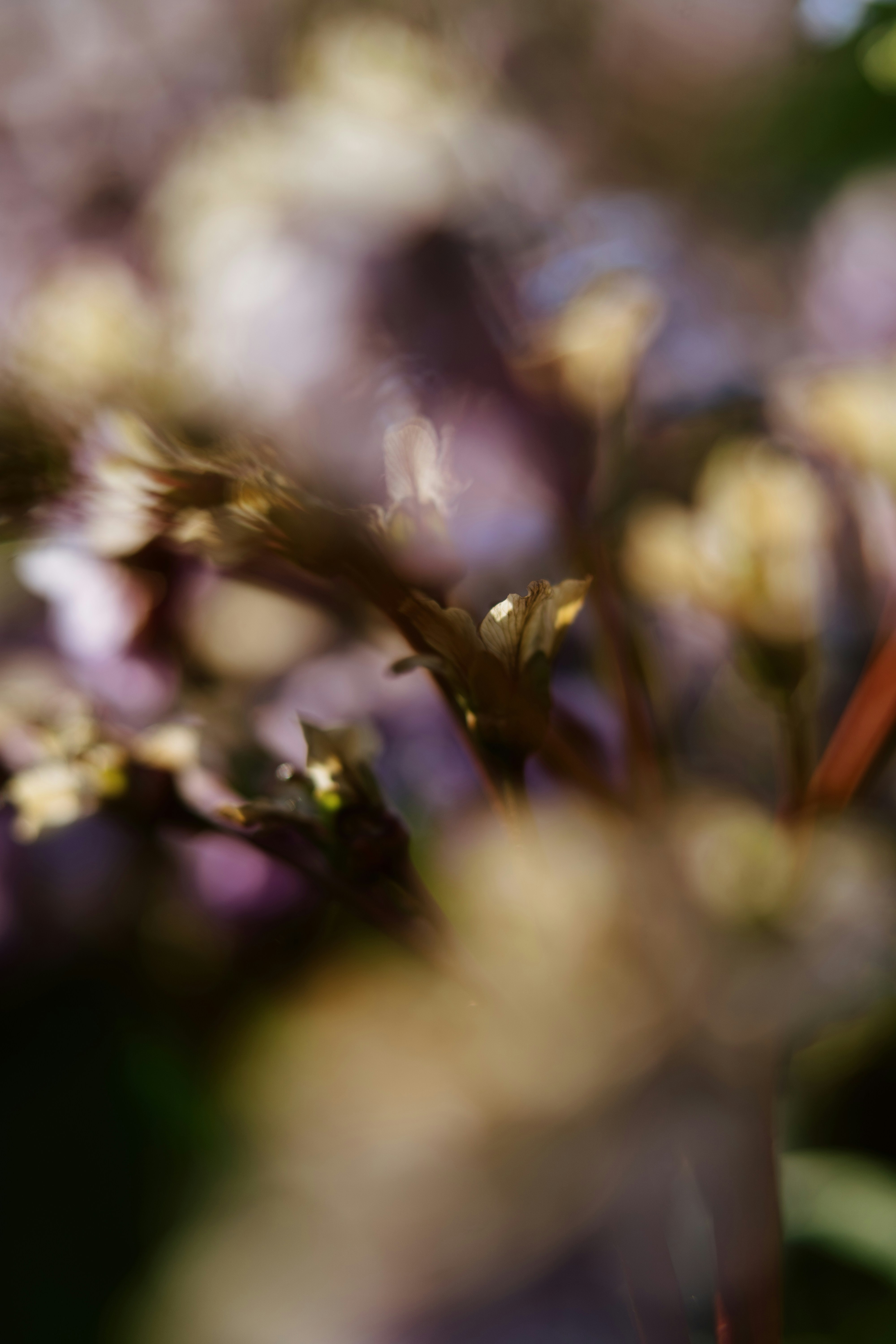 Photo by anamnesis33
