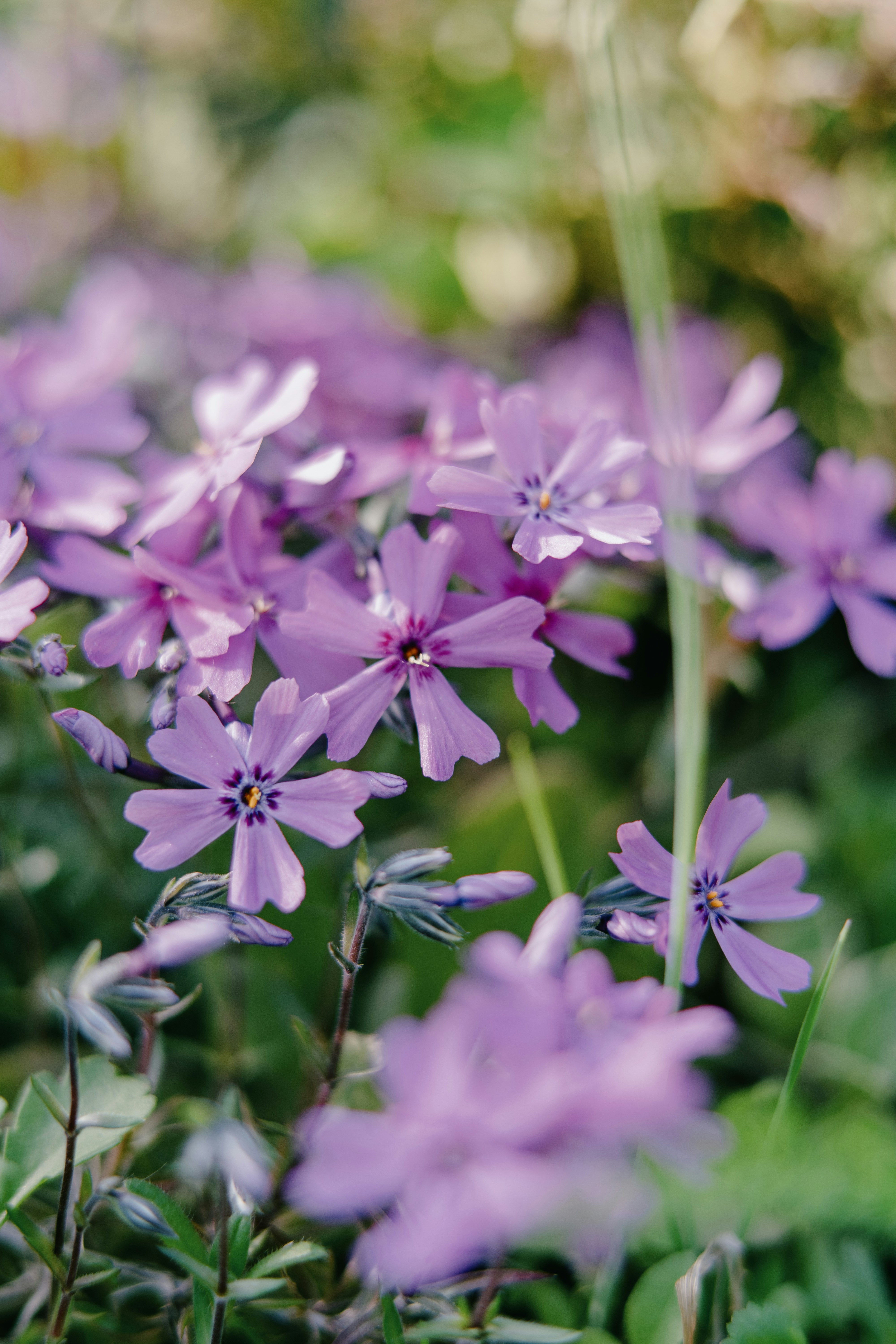 Photo by anamnesis33