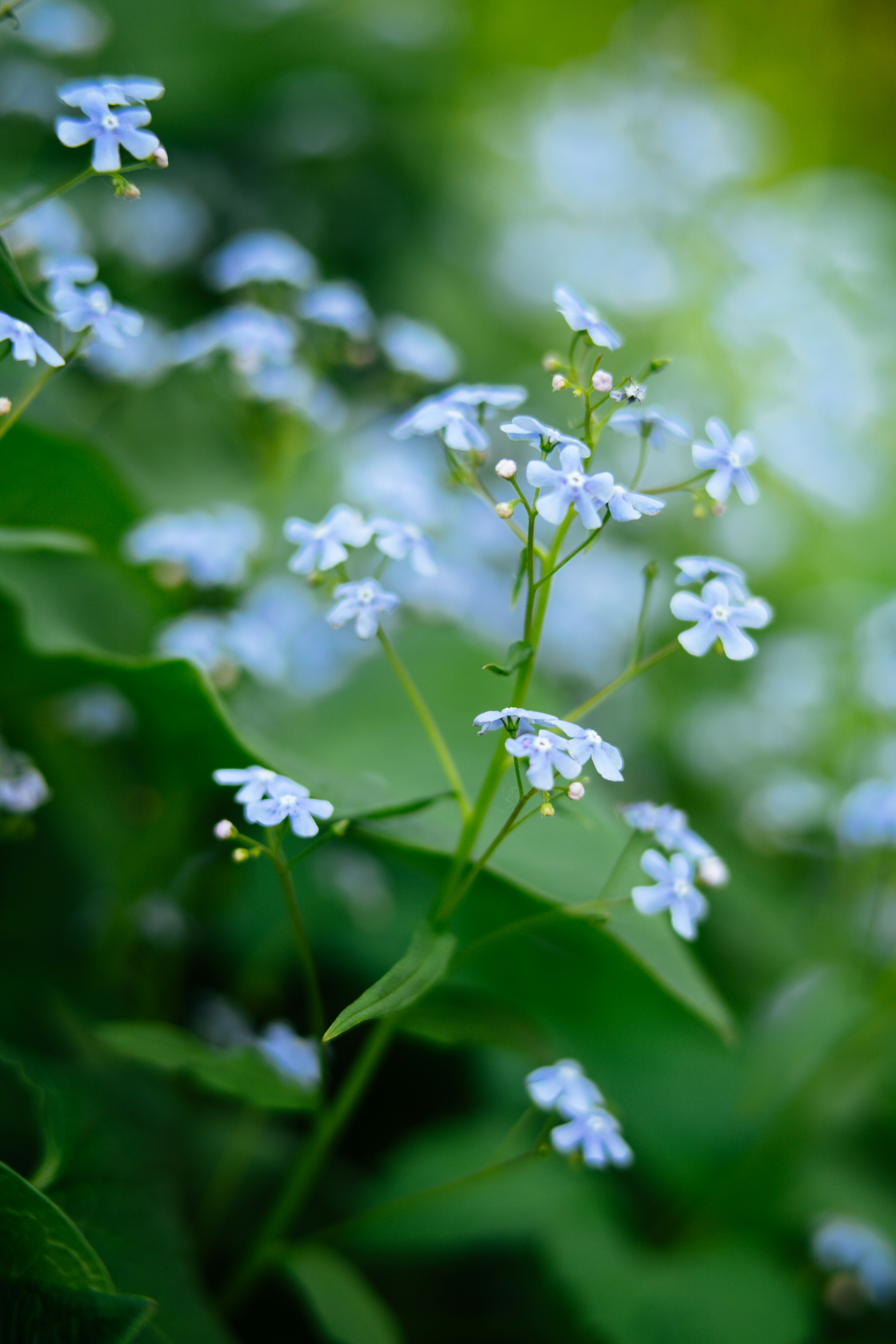 Photo by anamnesis33