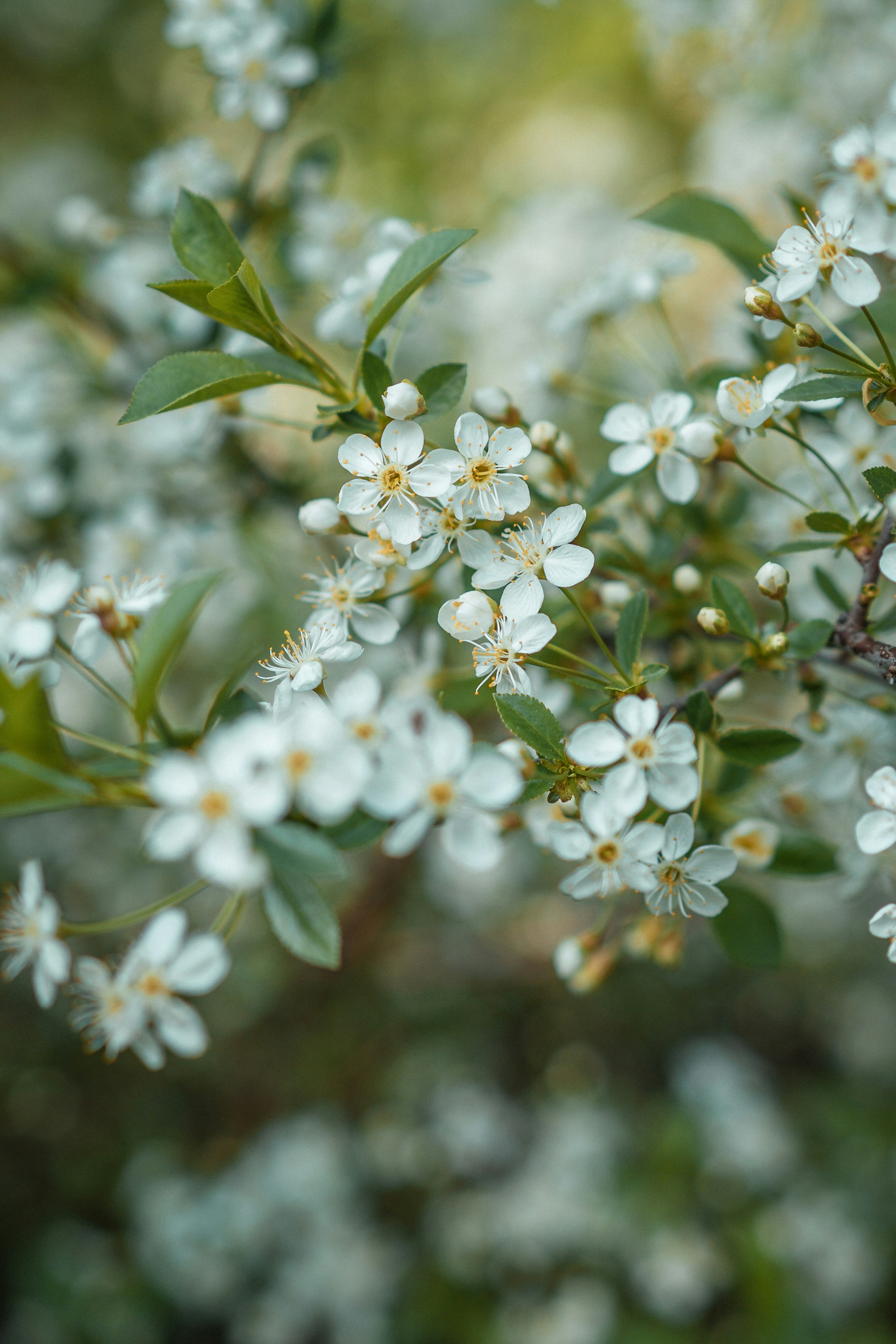 Photo by anamnesis33